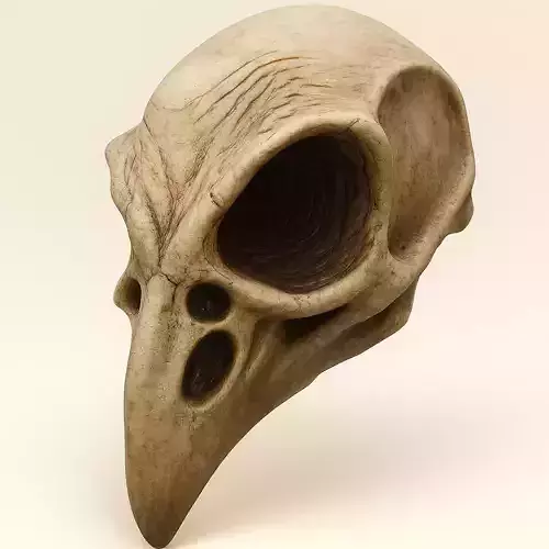 Ethereal Avian Skull