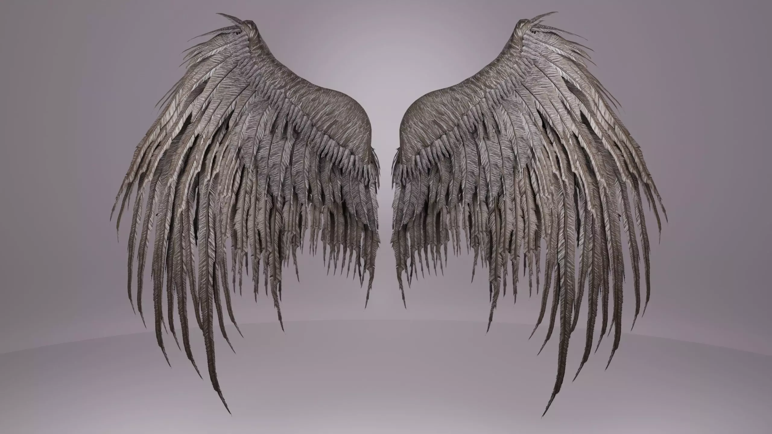 Wings 3D model_3