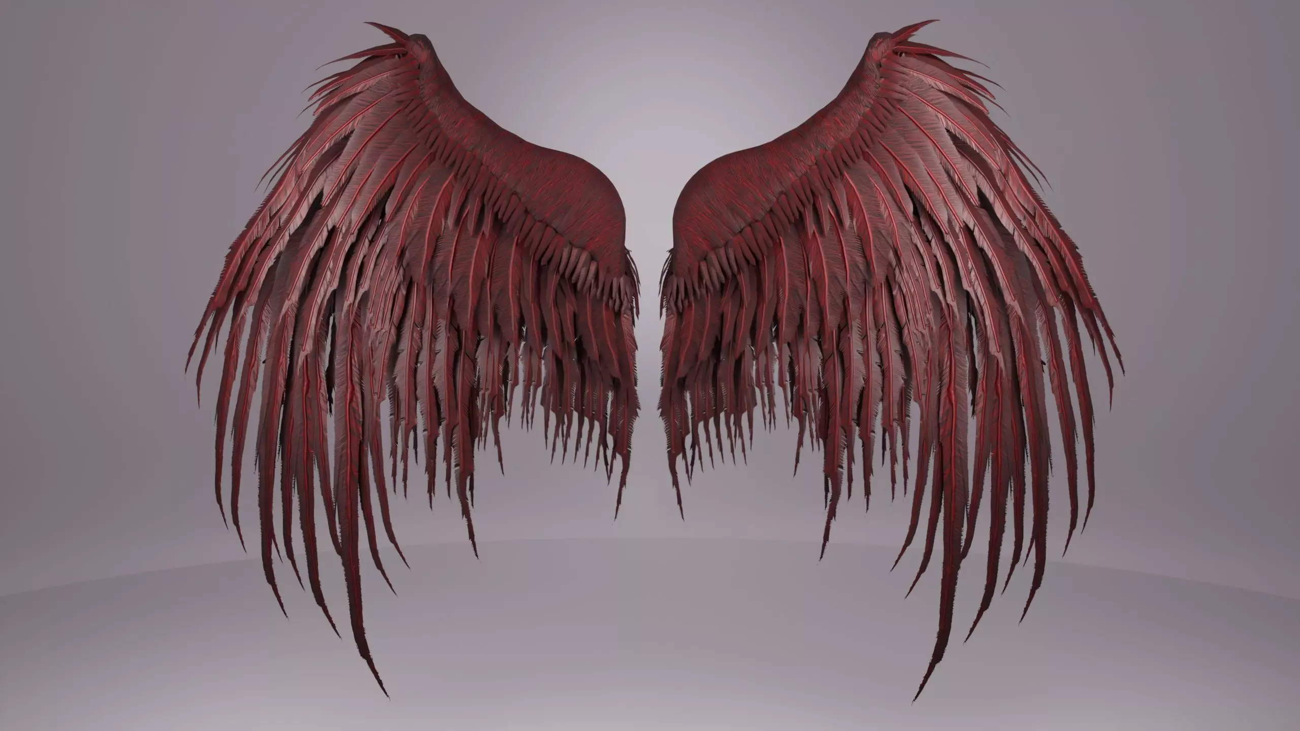 Wings 3D model_5