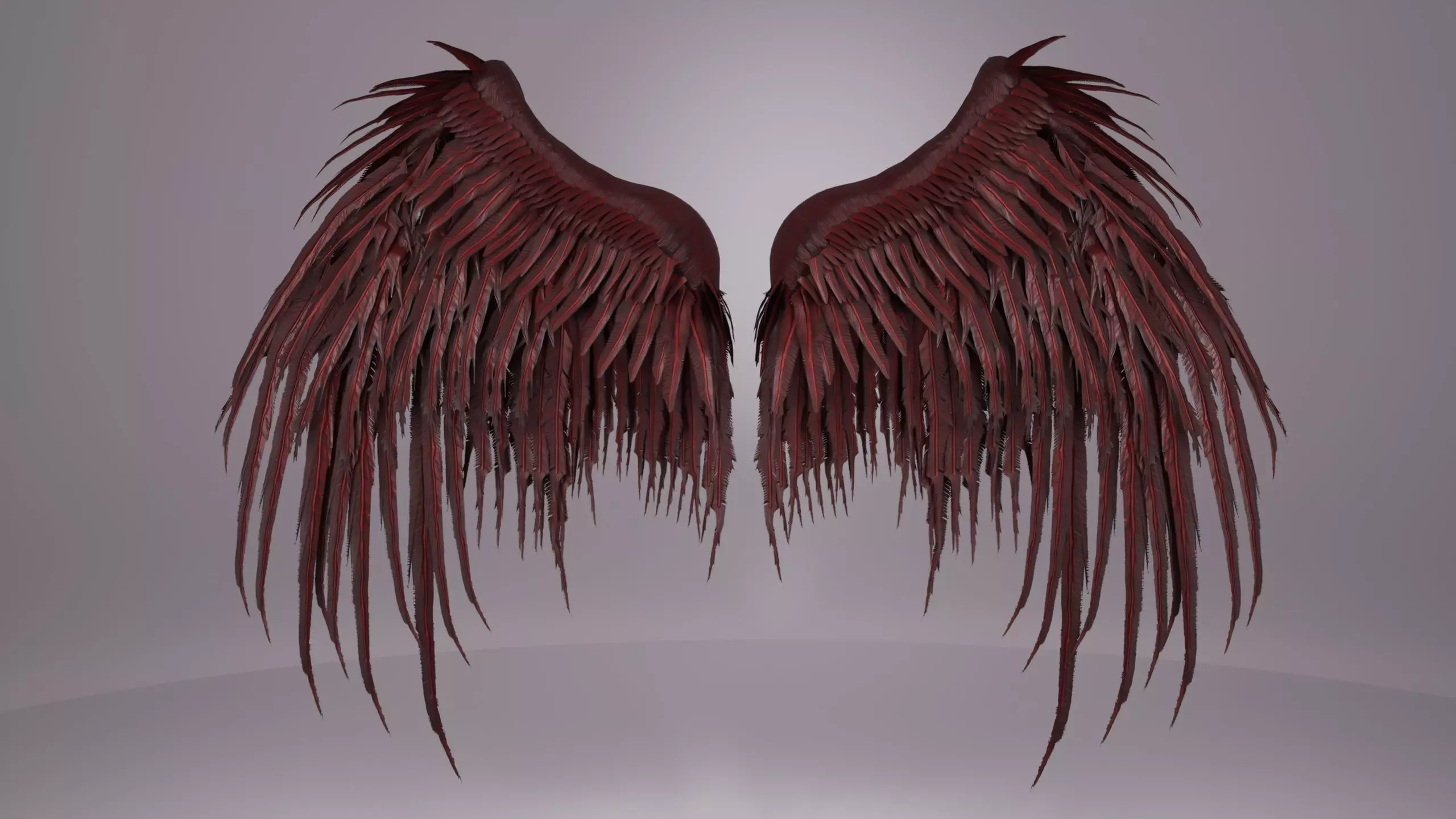Wings 3D model_4
