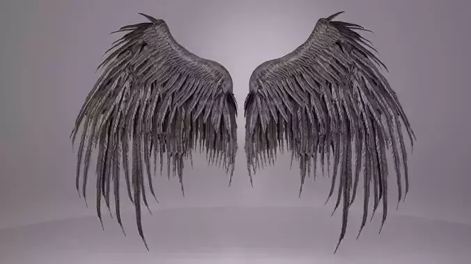 Wings 