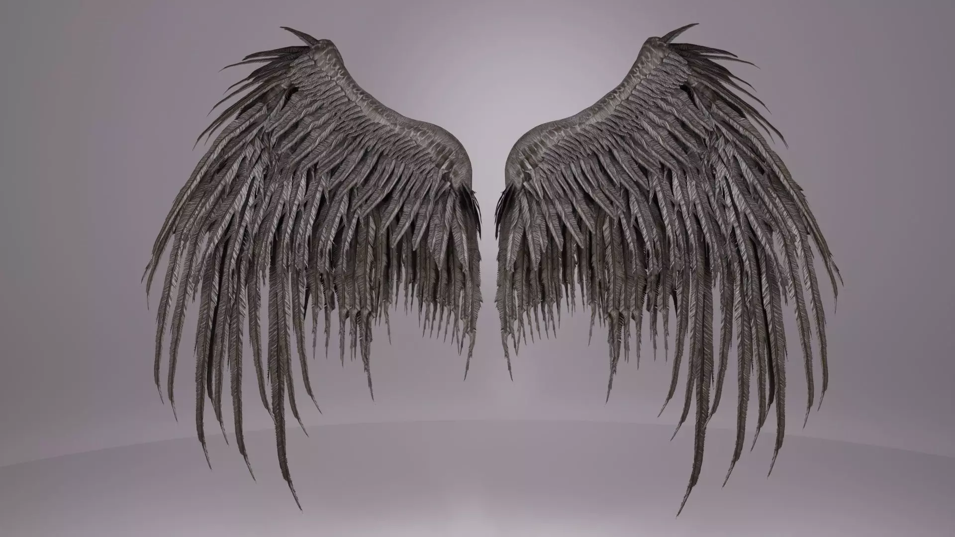 Wings 3D model_0