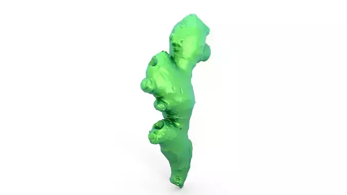 Ginger 3d scan