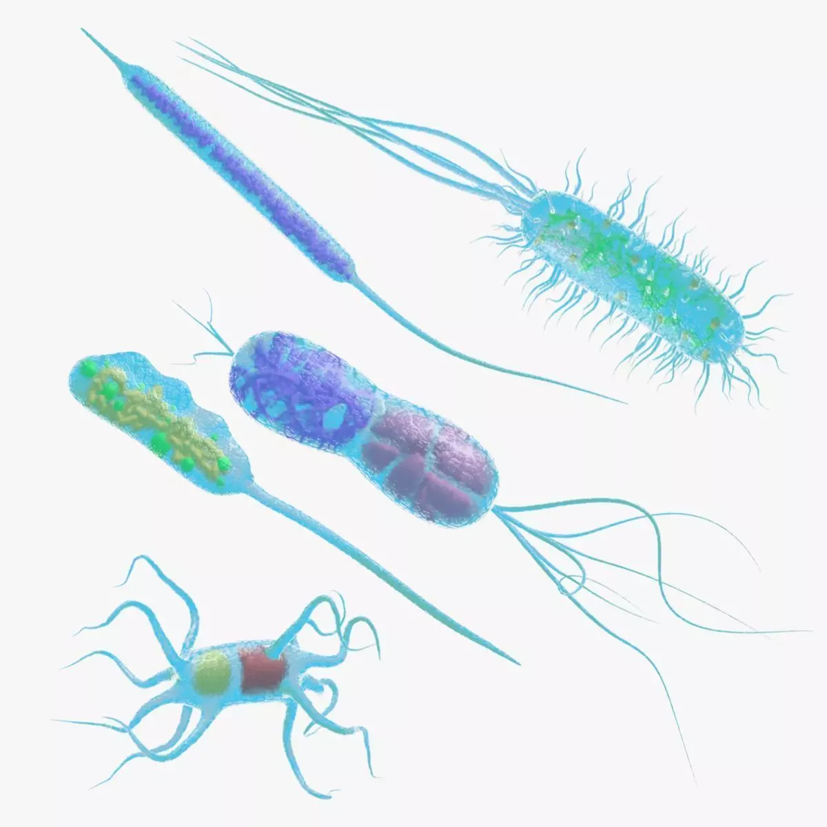 Animated microbes 1-5 Low-poly 3D model_0
