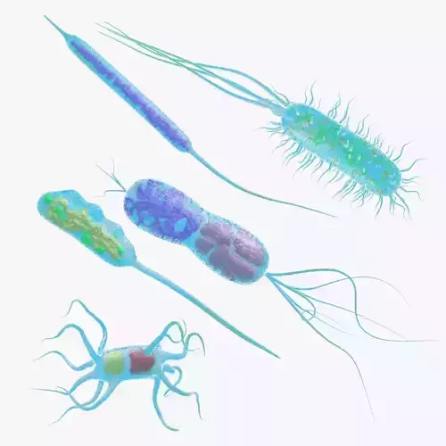 Animated microbes 1-5 Low-poly 3D model Animated microbes 1-5 Low-poly 3D model