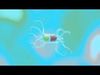 Animated microbes 1-5 Low-poly 3D model_1