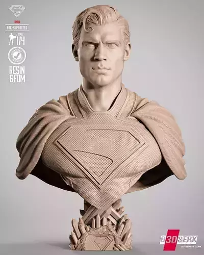 B3DSERK Superman Portrait Bust