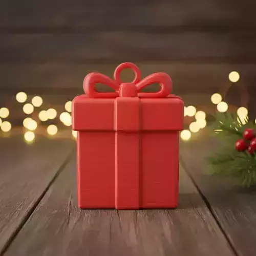 Christmas present 3D print model