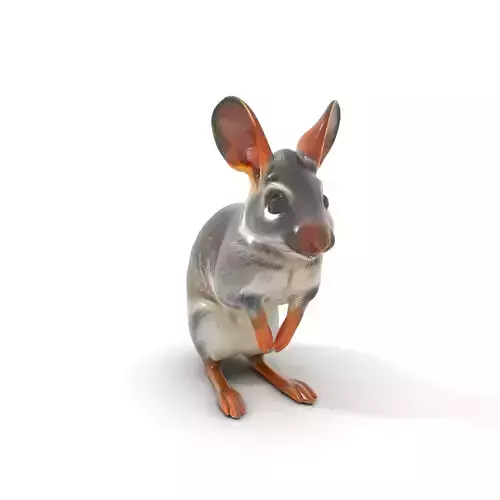 Bushytailed Bilby model pack Low-poly 3D model