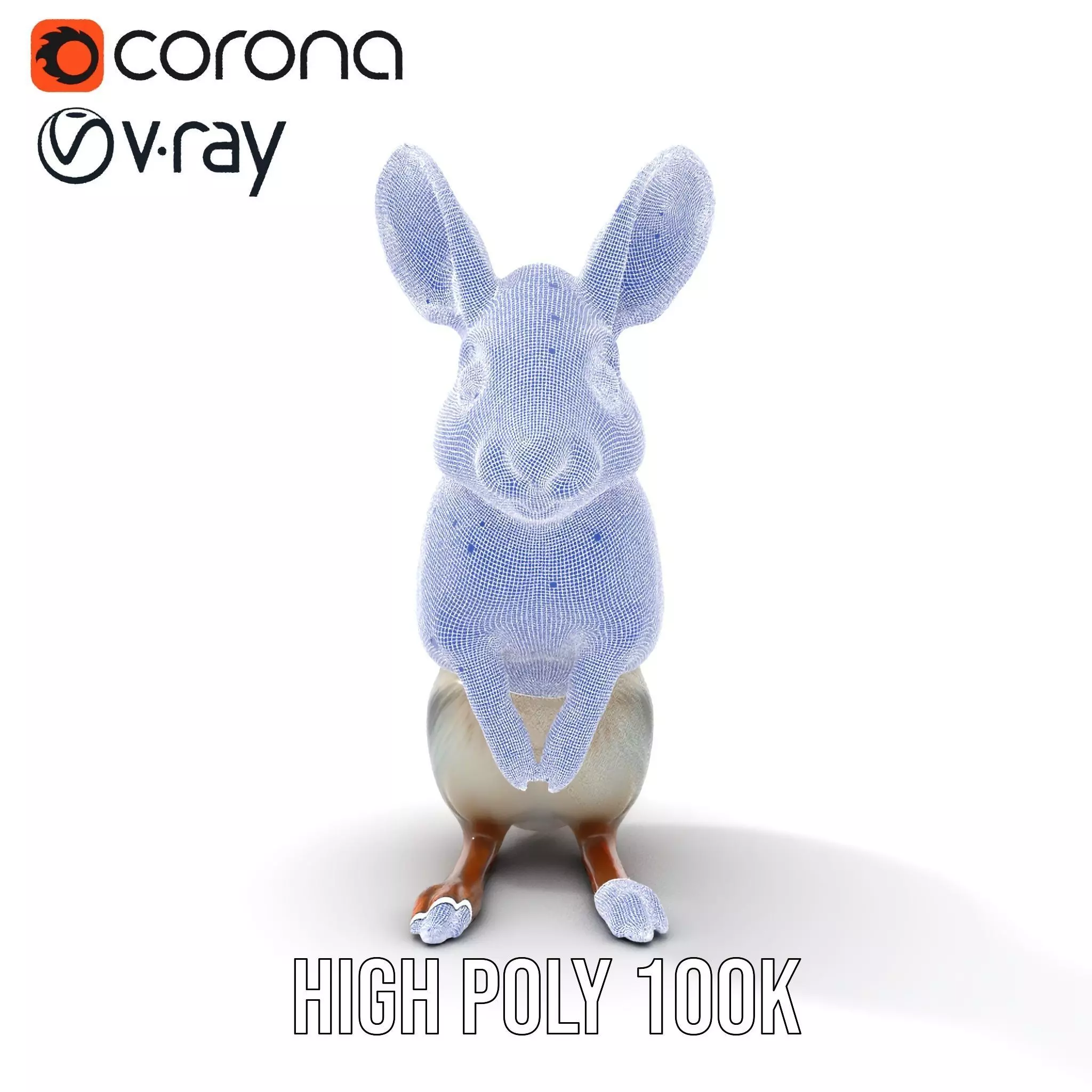 Bushytailed Bilby model pack Low-poly 3D model_32