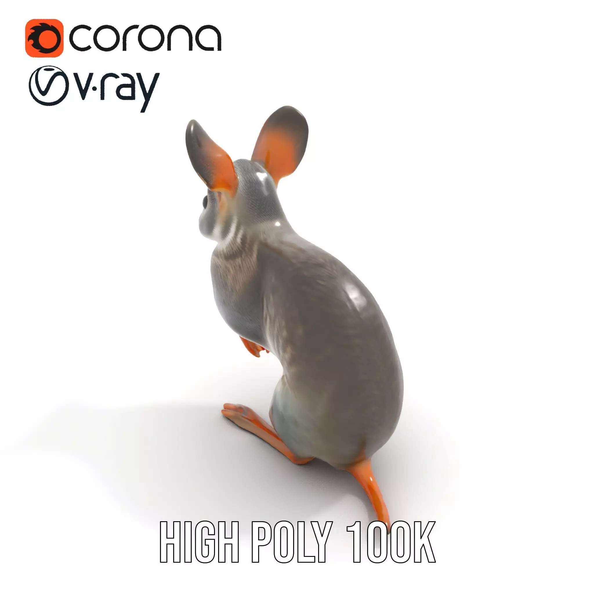 Bushytailed Bilby model pack Low-poly 3D model_15