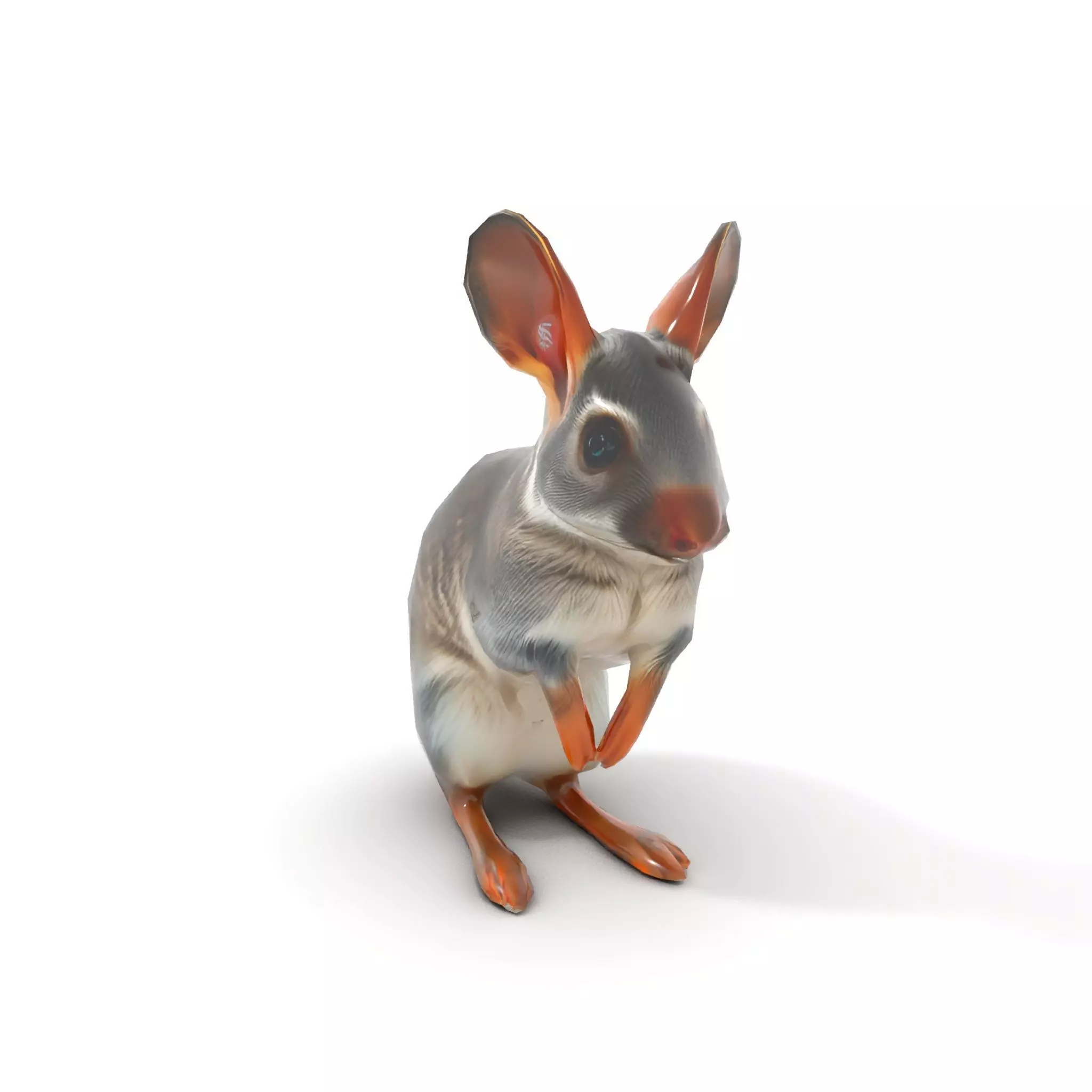 Bushytailed Bilby model pack Low-poly 3D model_9