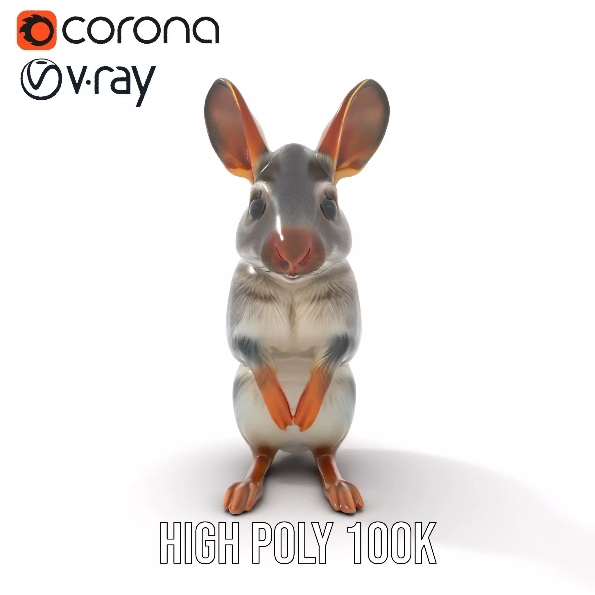 Bushytailed Bilby model pack Low-poly 3D model_20