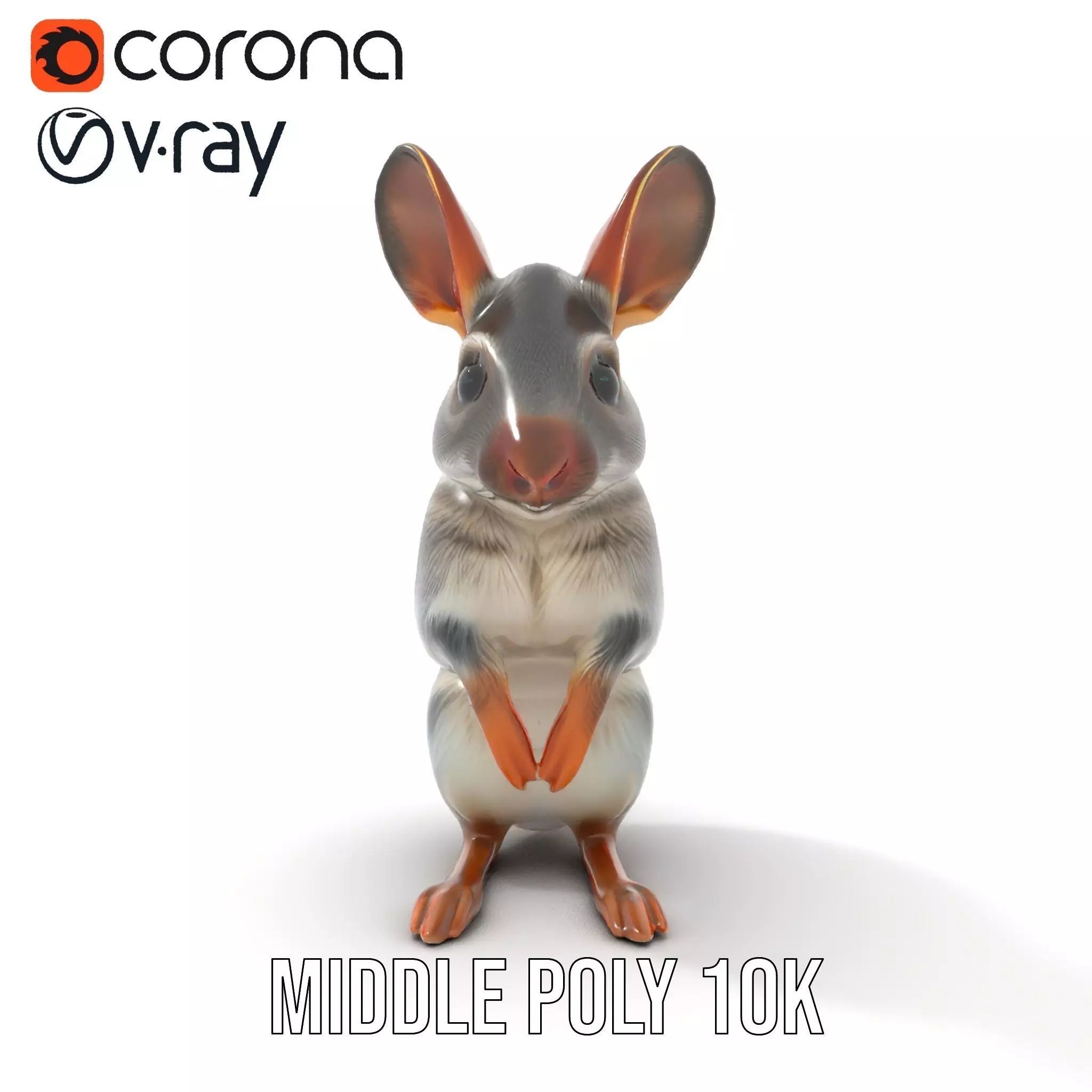 Bushytailed Bilby model pack Low-poly 3D model_24