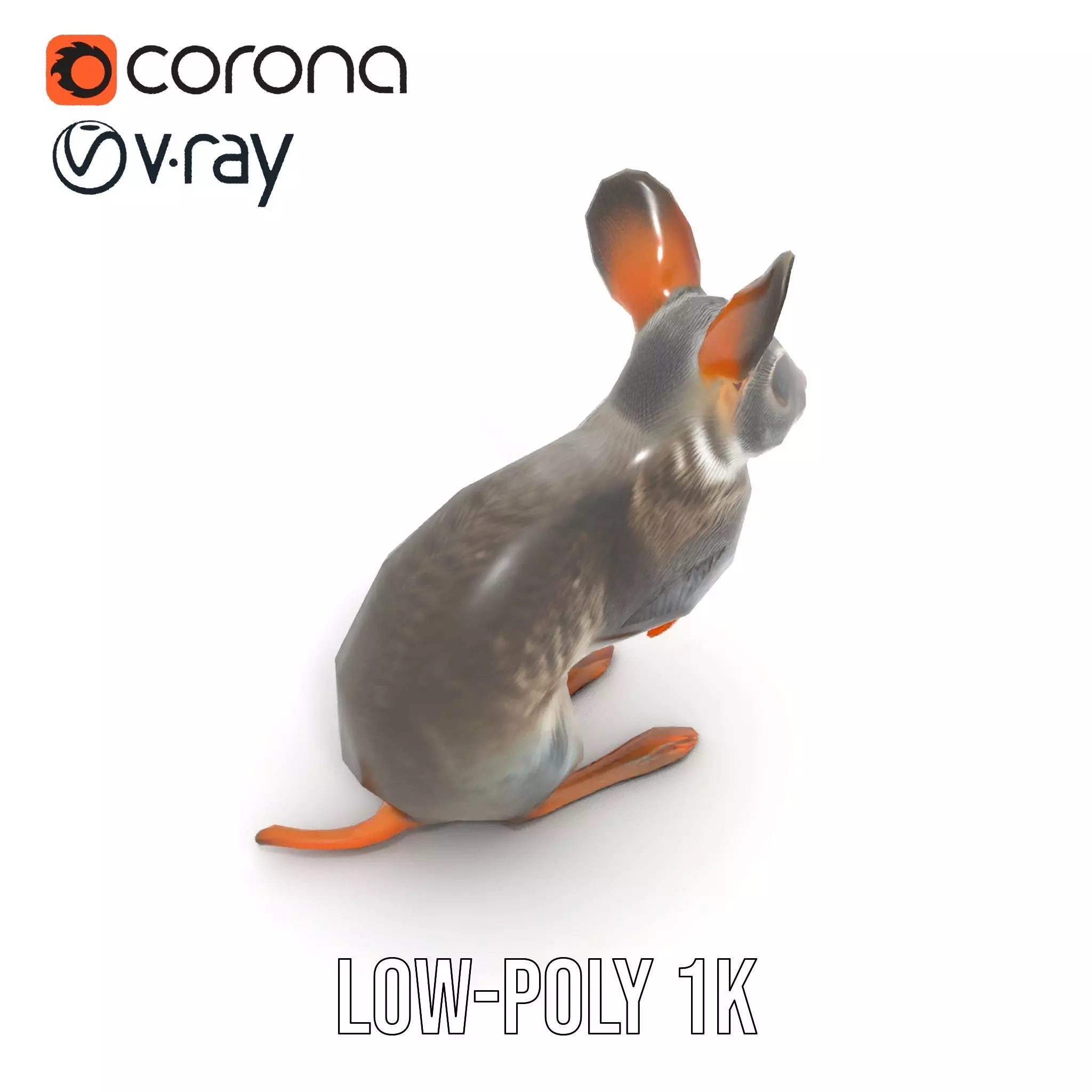 Bushytailed Bilby model pack Low-poly 3D model_12