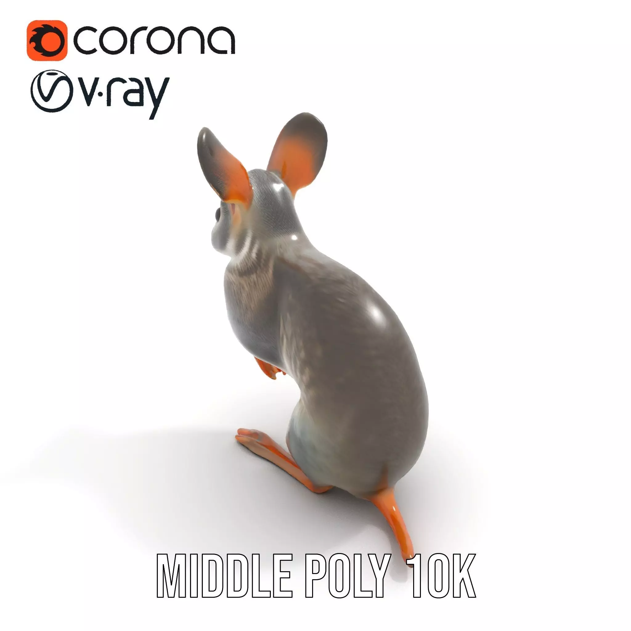 Bushytailed Bilby model pack Low-poly 3D model_6