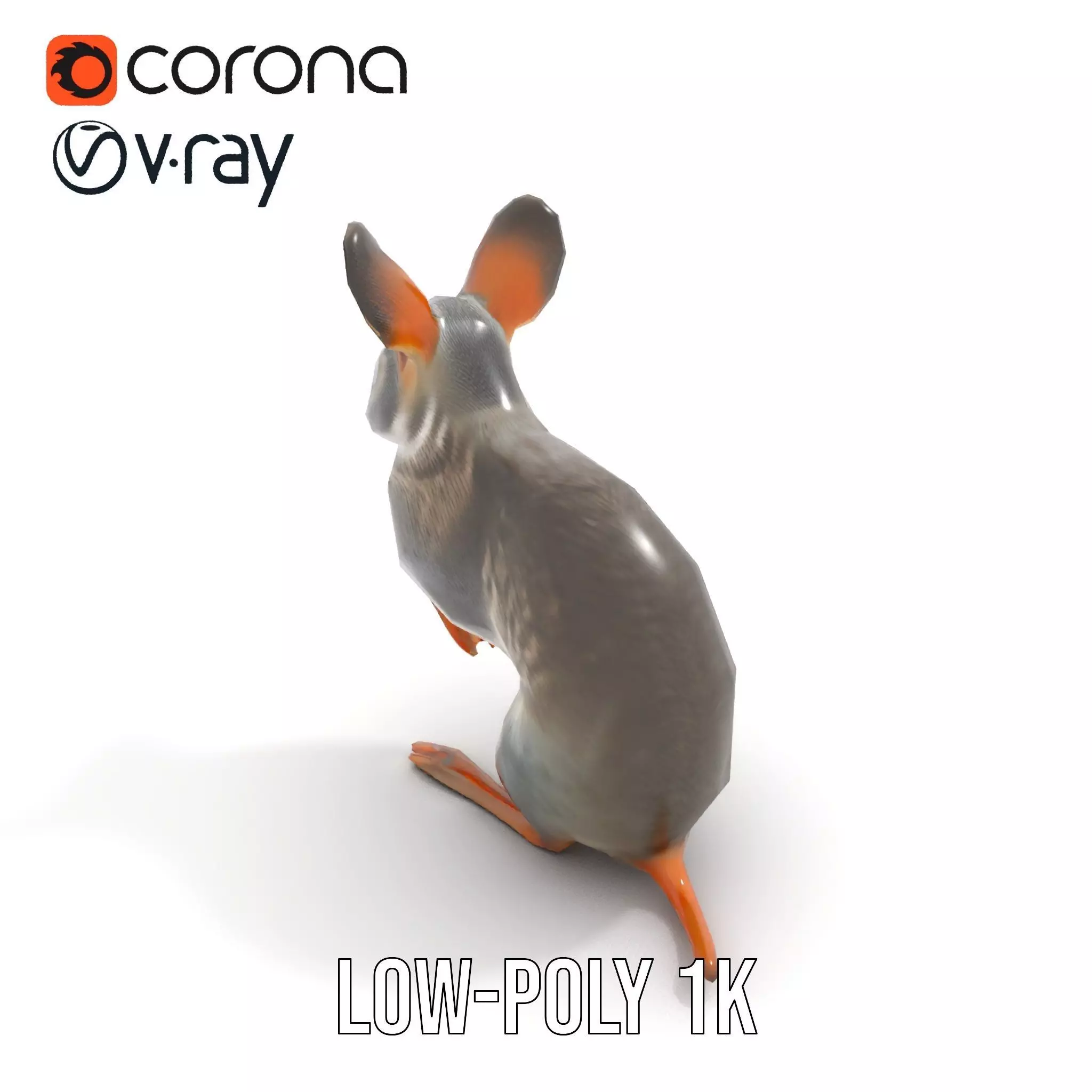 Bushytailed Bilby model pack Low-poly 3D model_14