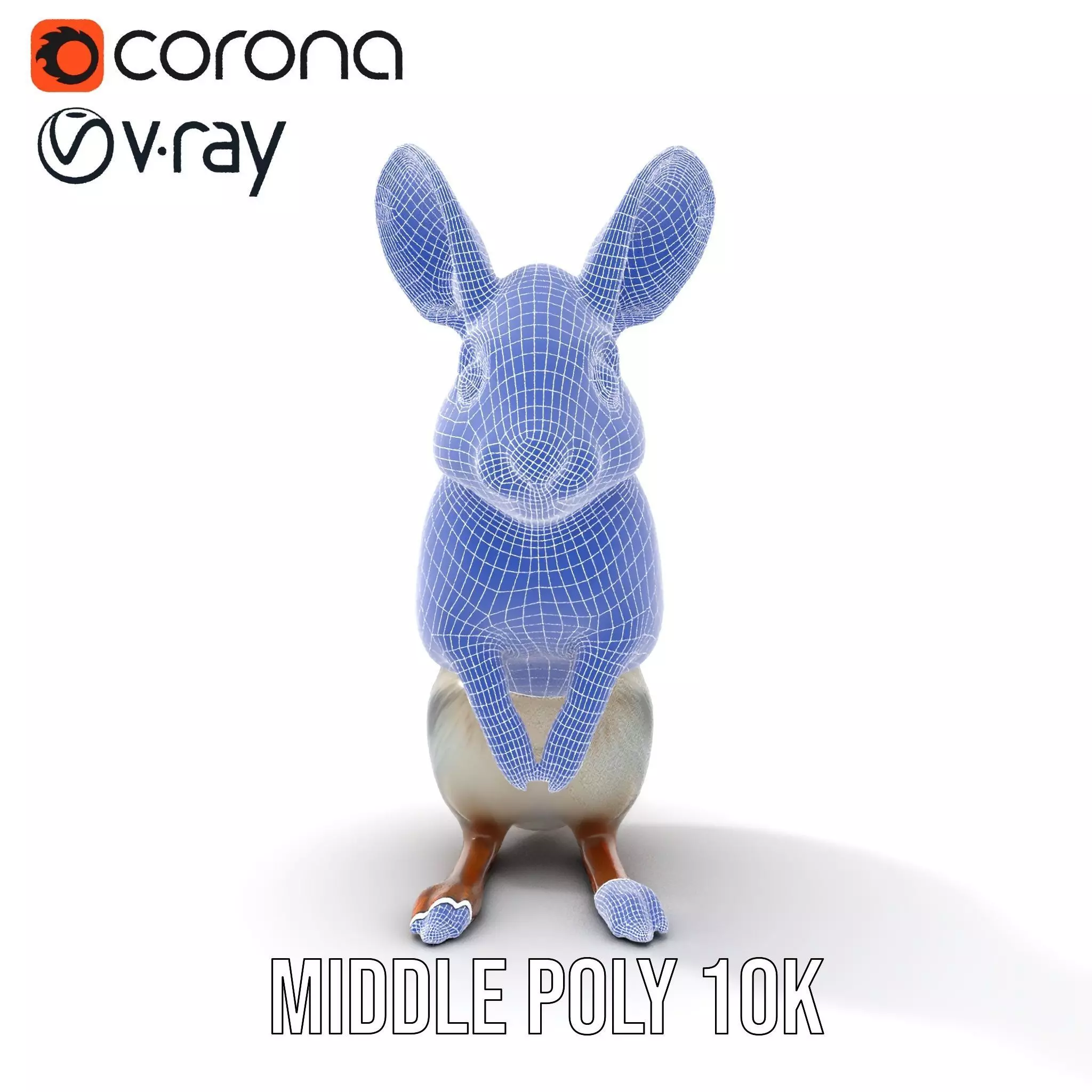 Bushytailed Bilby model pack Low-poly 3D model_18