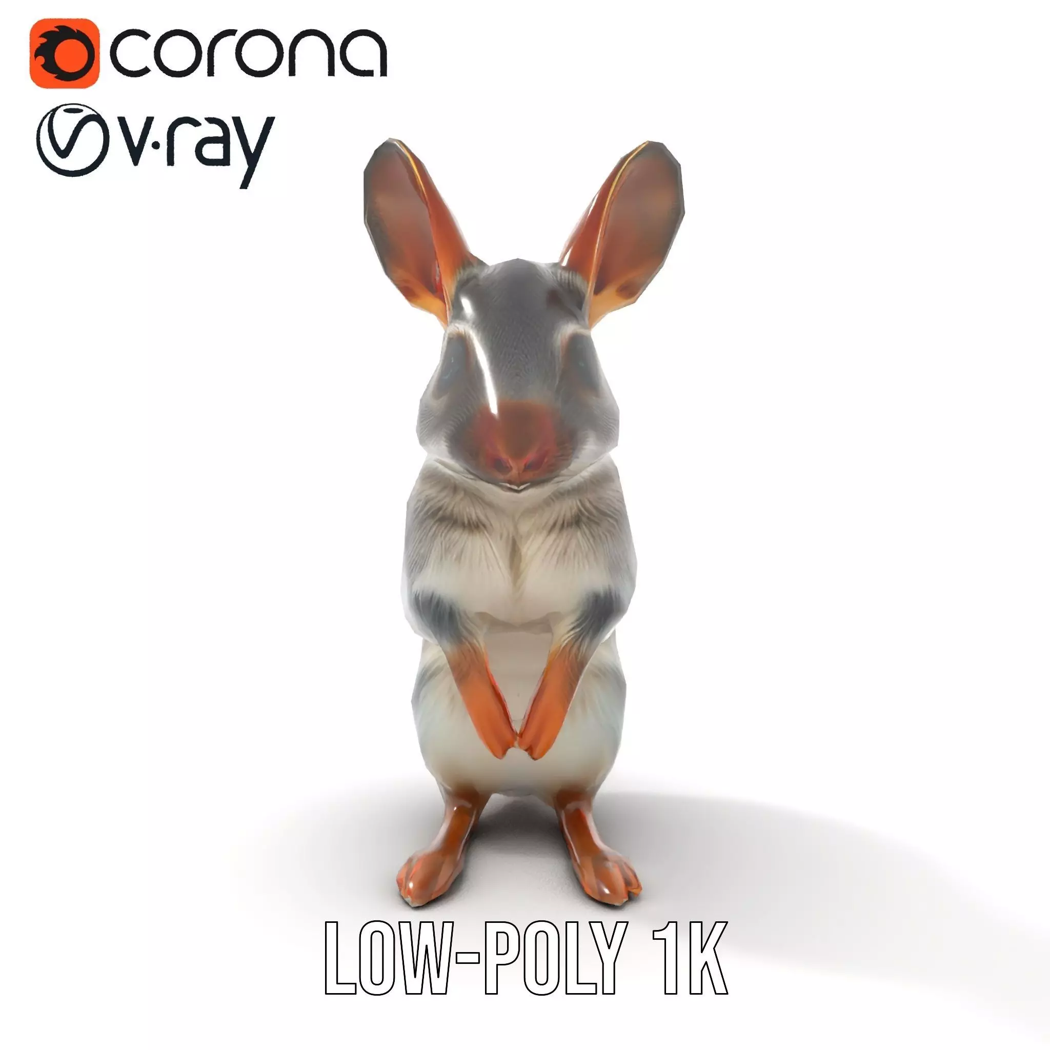 Bushytailed Bilby model pack Low-poly 3D model_7