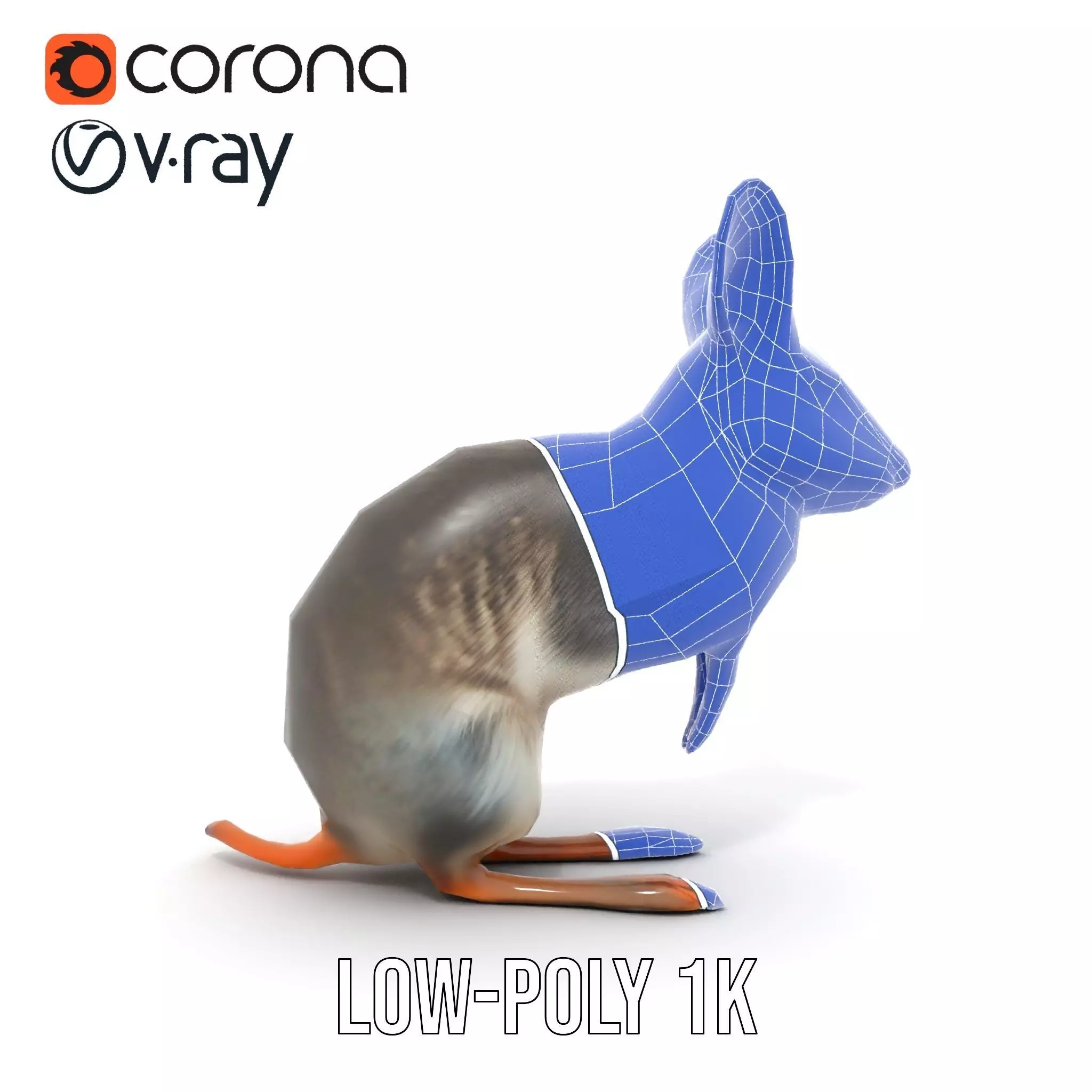 Bushytailed Bilby model pack Low-poly 3D model_30