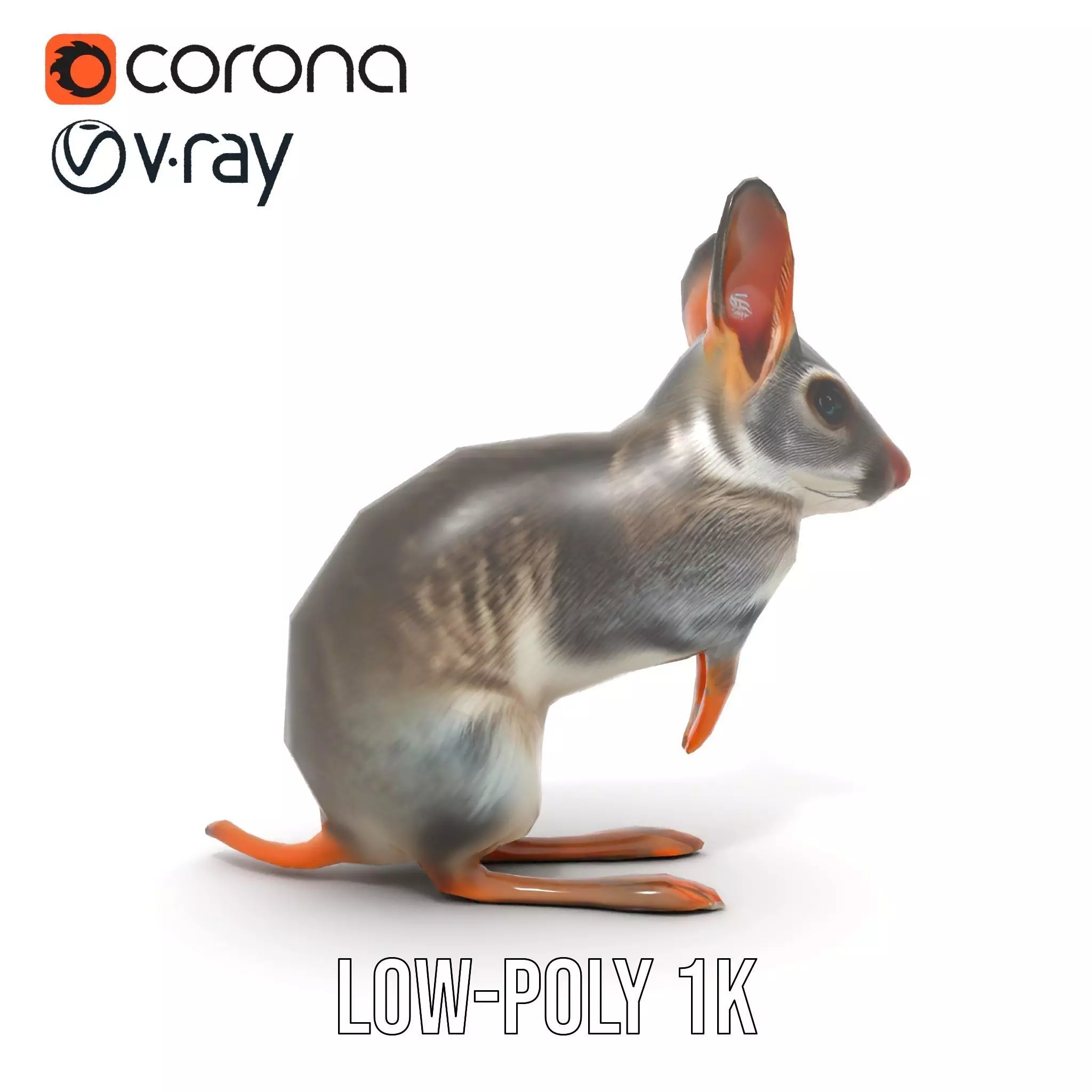 Bushytailed Bilby model pack Low-poly 3D model_19