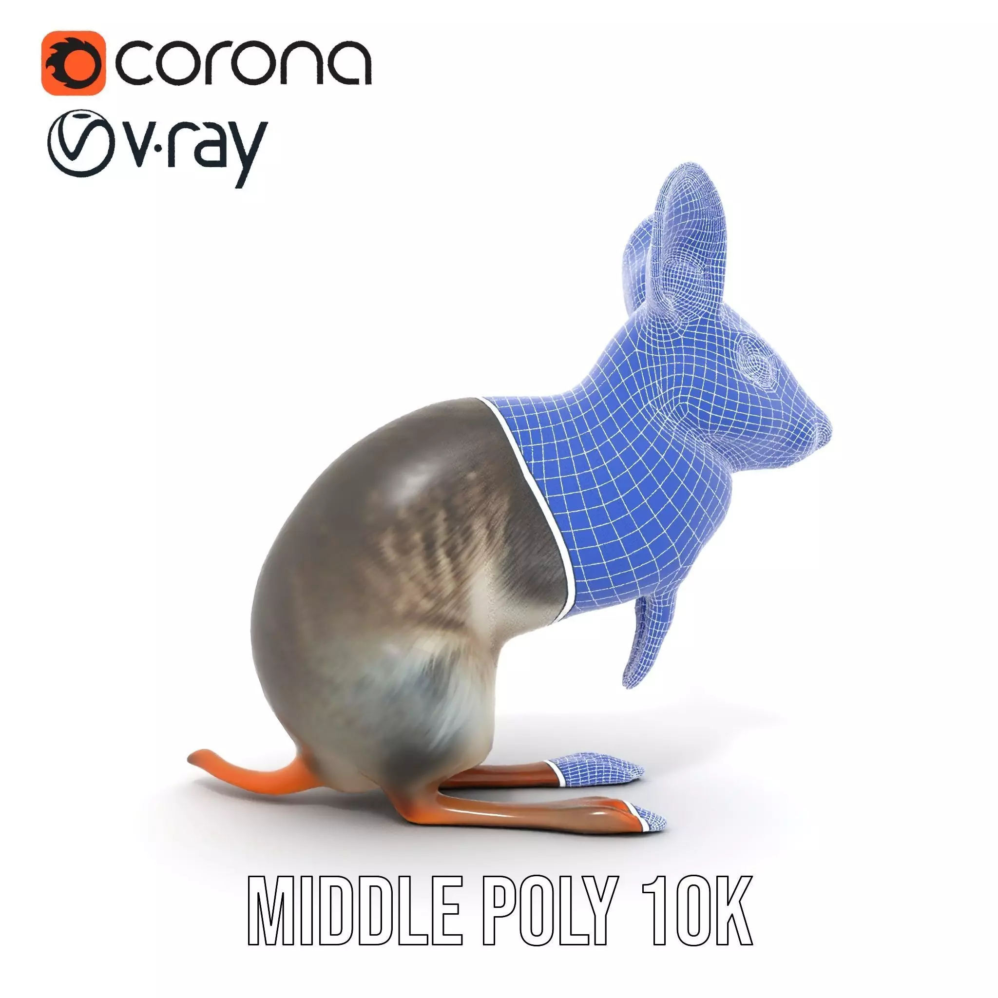 Bushytailed Bilby model pack Low-poly 3D model_29