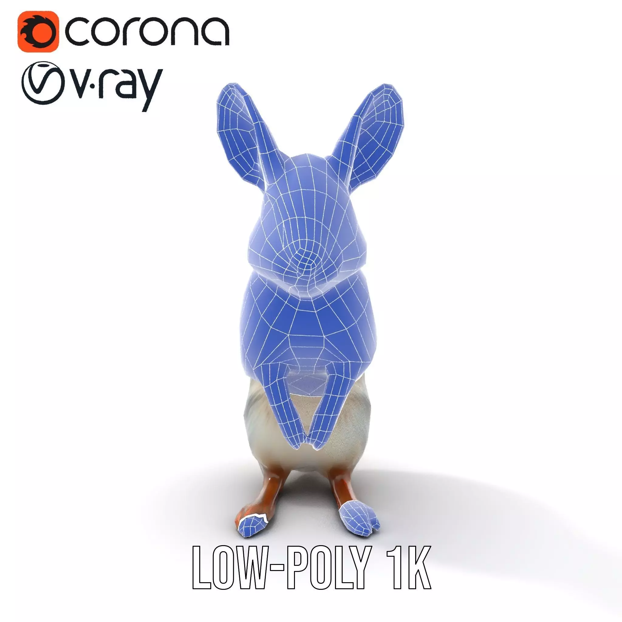 Bushytailed Bilby model pack Low-poly 3D model_22