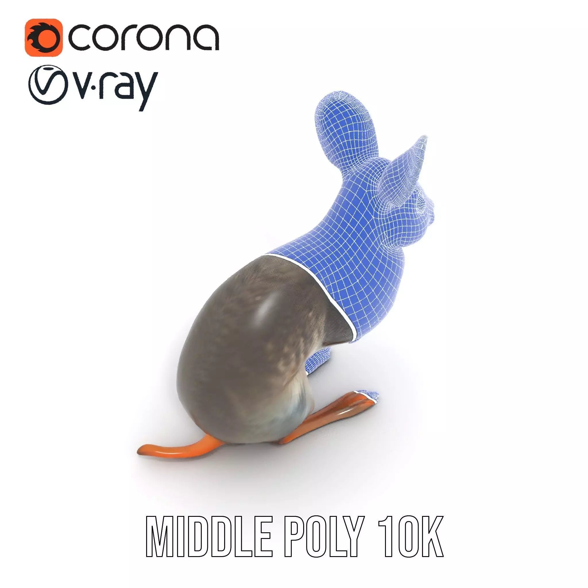 Bushytailed Bilby model pack Low-poly 3D model_16