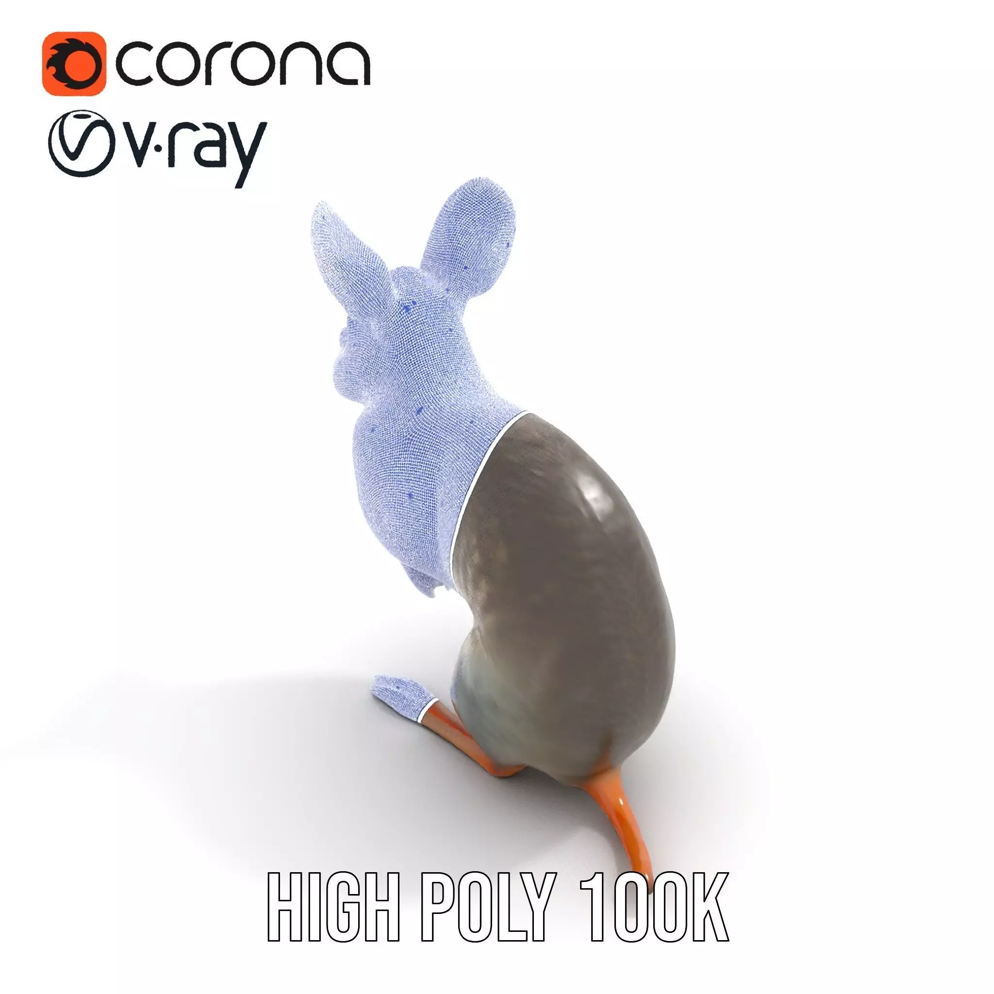 Bushytailed Bilby model pack Low-poly 3D model_33