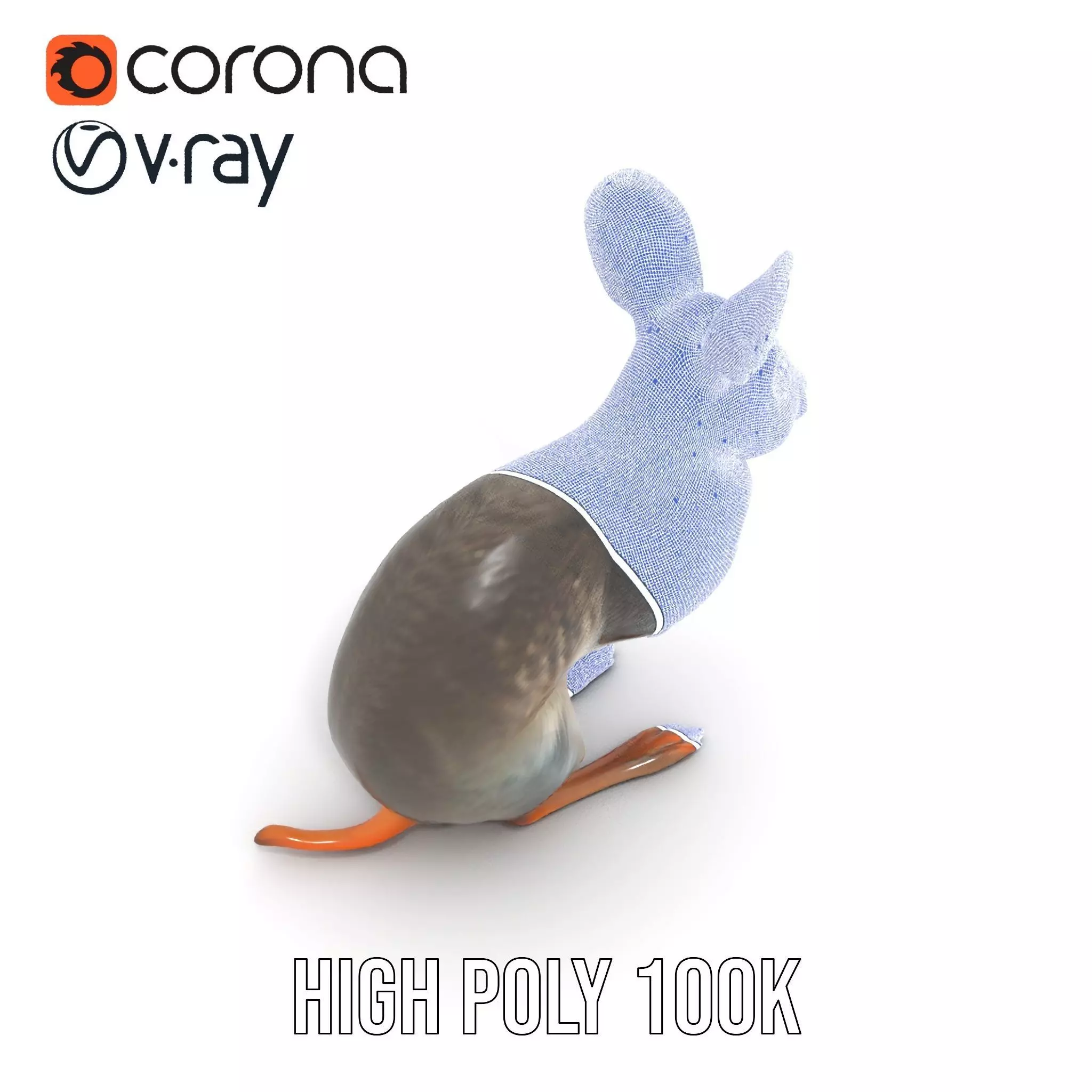 Bushytailed Bilby model pack Low-poly 3D model_26