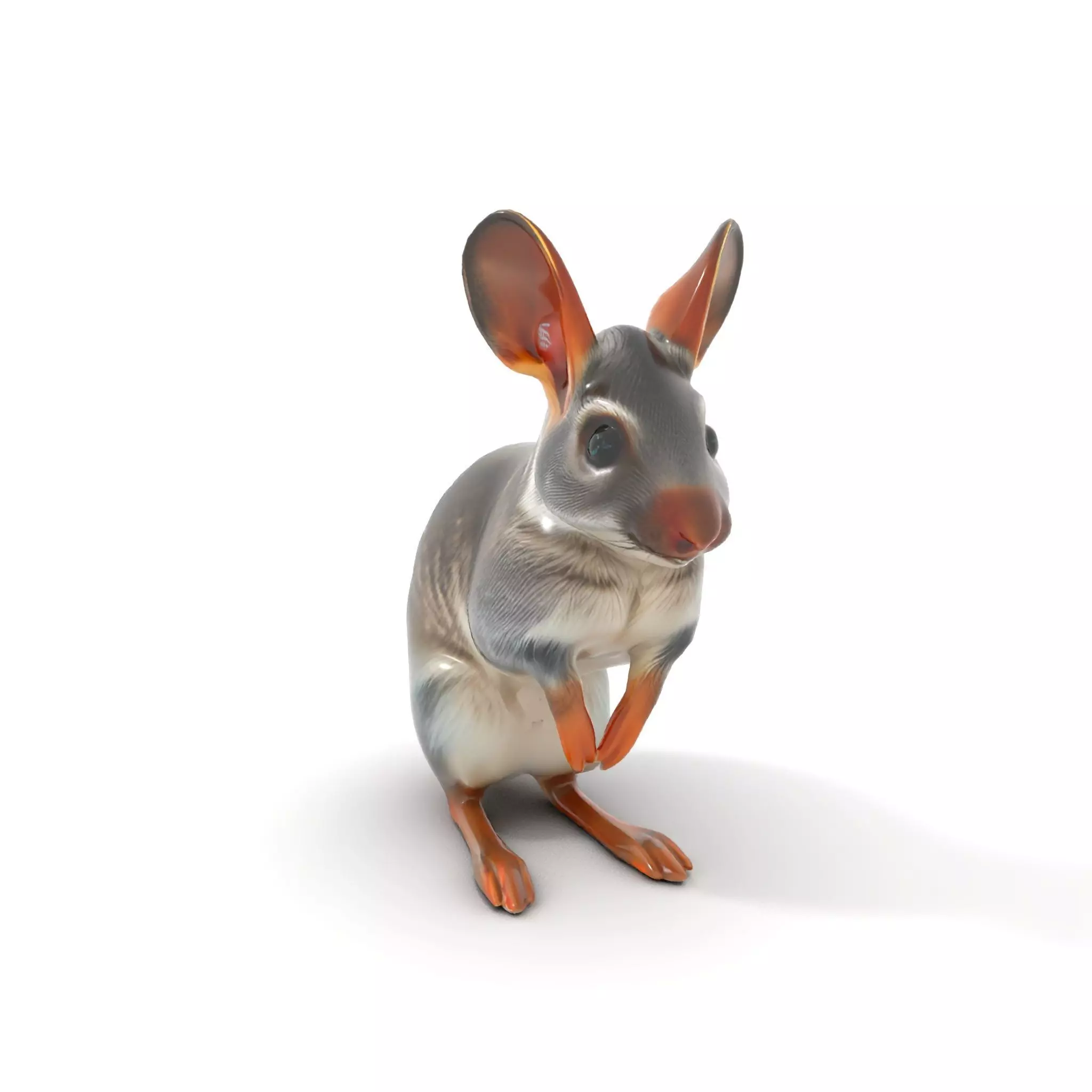 Bushytailed Bilby model pack Low-poly 3D model_5