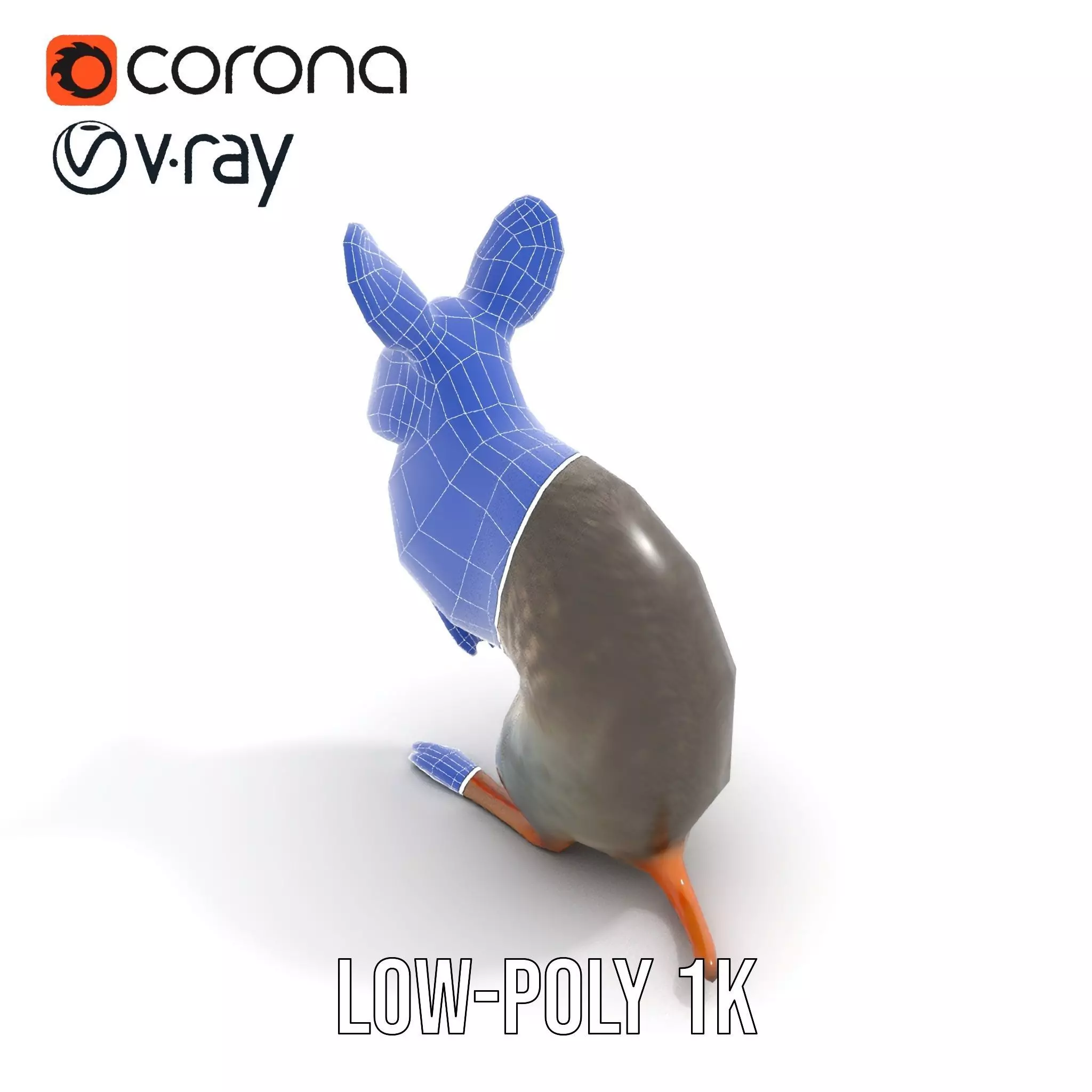 Bushytailed Bilby model pack Low-poly 3D model_28