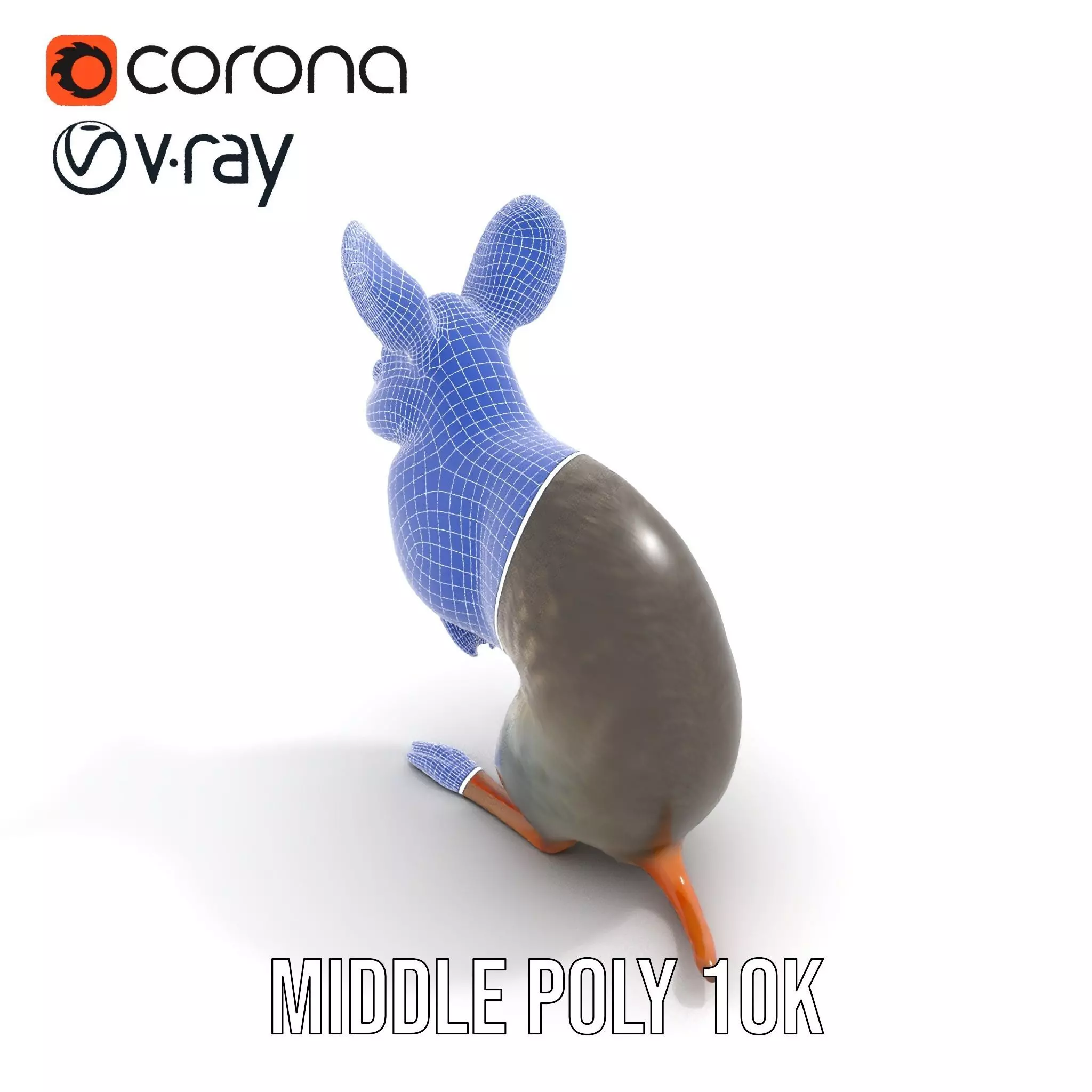 Bushytailed Bilby model pack Low-poly 3D model_21
