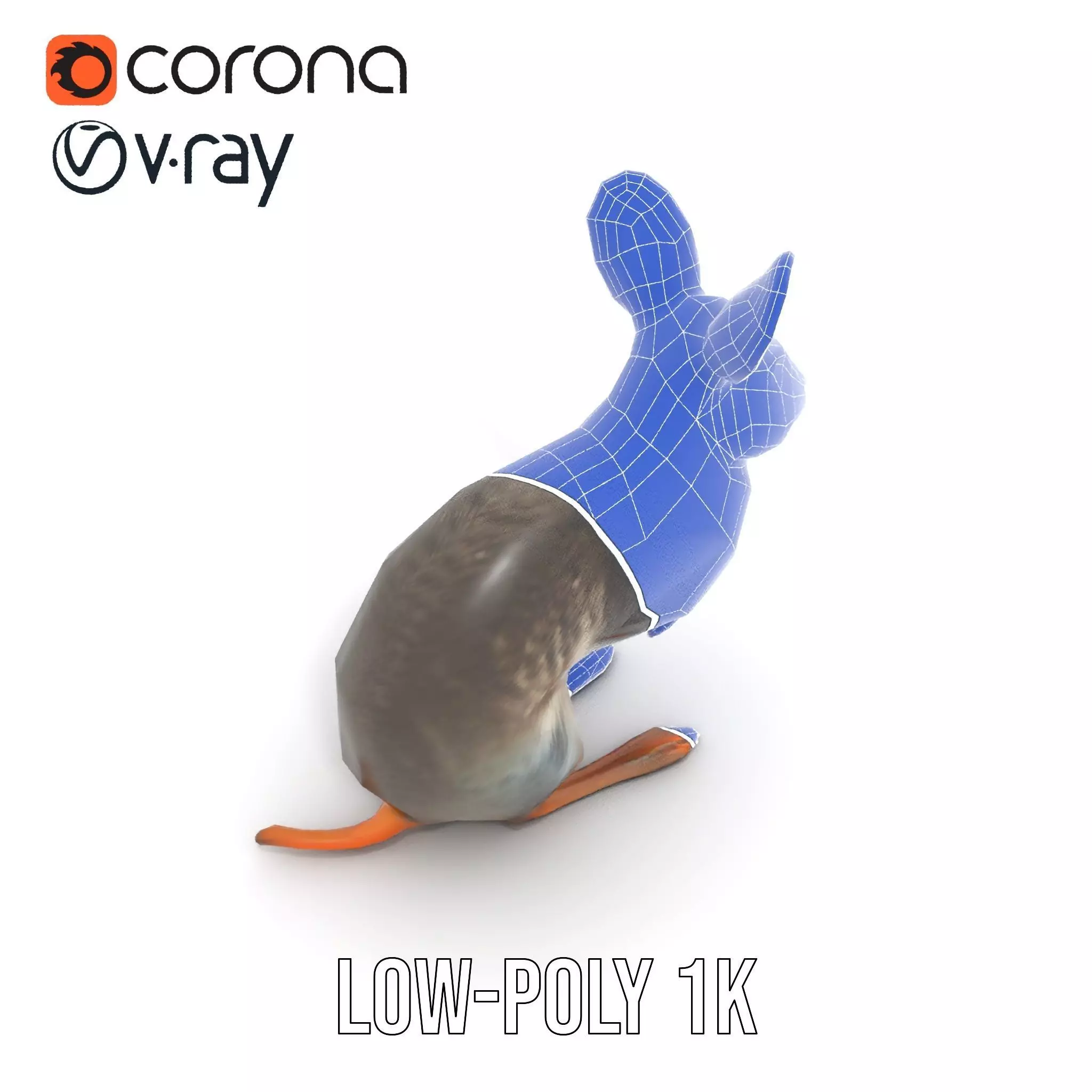 Bushytailed Bilby model pack Low-poly 3D model_25