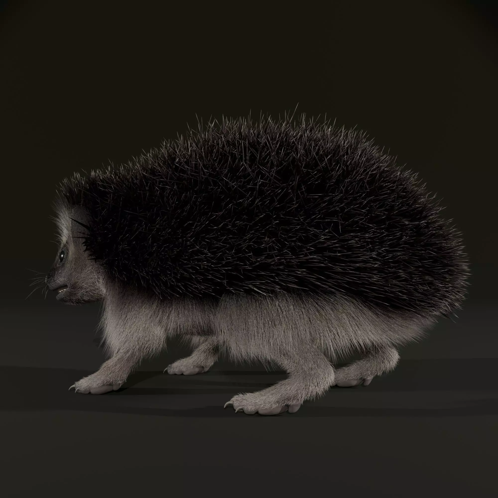 Realistic Animated Hedgehog 3D model_9