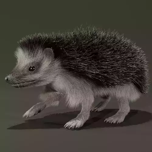 Realistic Animated Hedgehog 3D model Realistic Animated Hedgehog 3D model