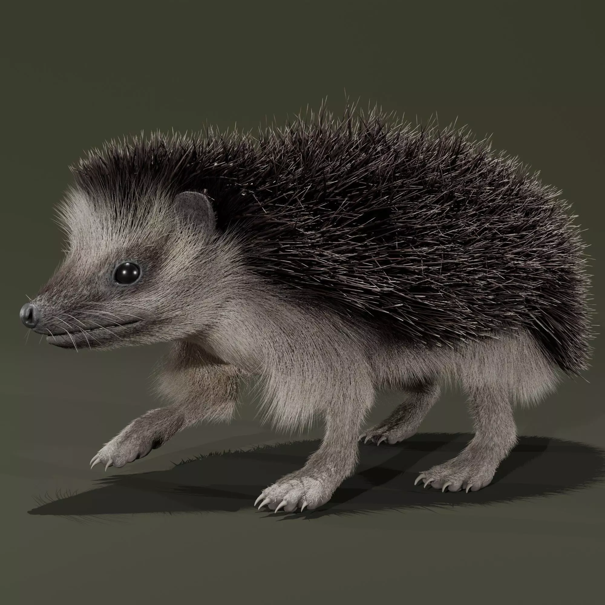 Realistic Animated Hedgehog 3D model_0