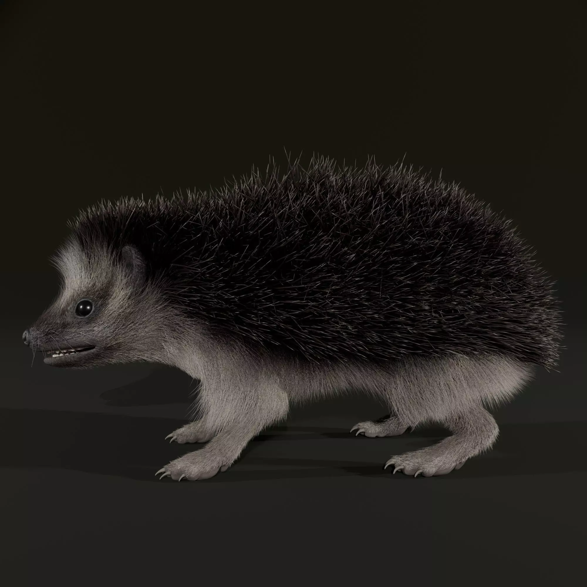 Realistic Animated Hedgehog 3D model_7