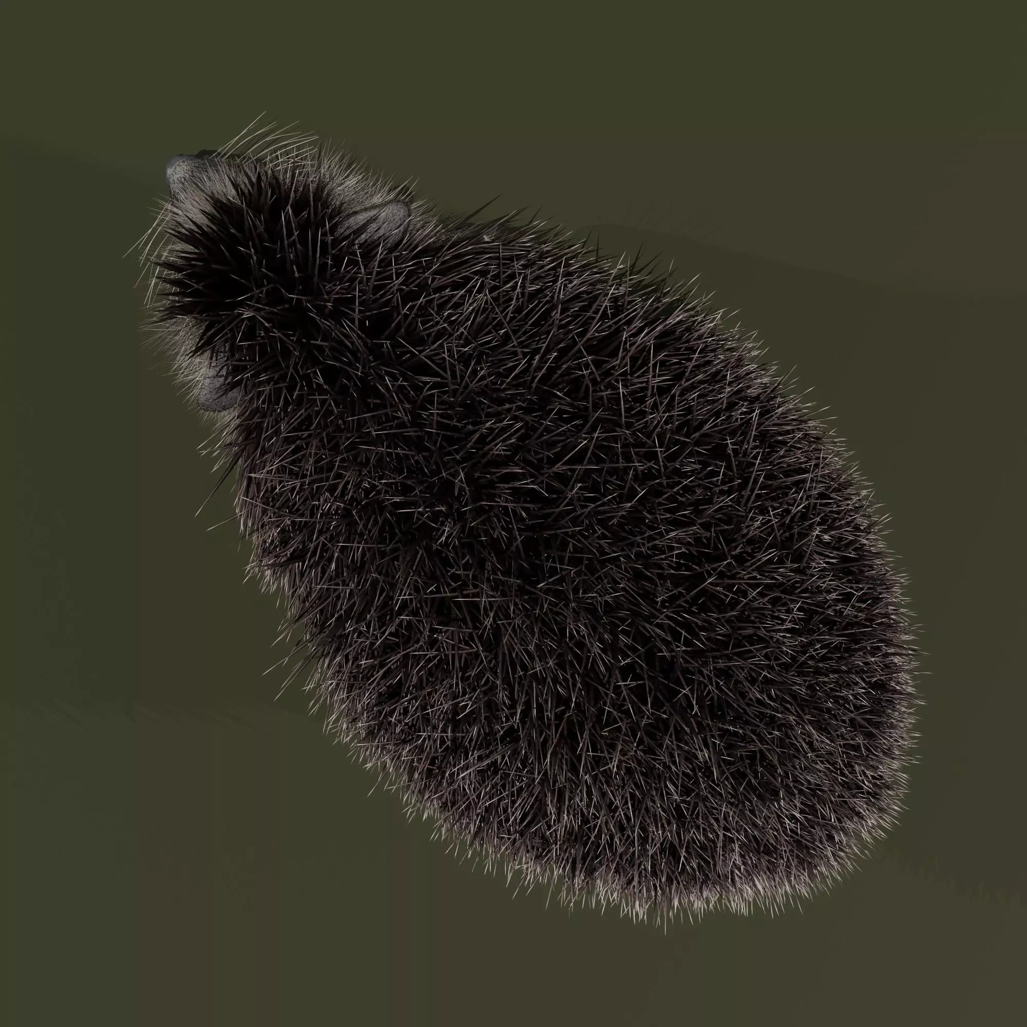 Realistic Animated Hedgehog 3D model_4