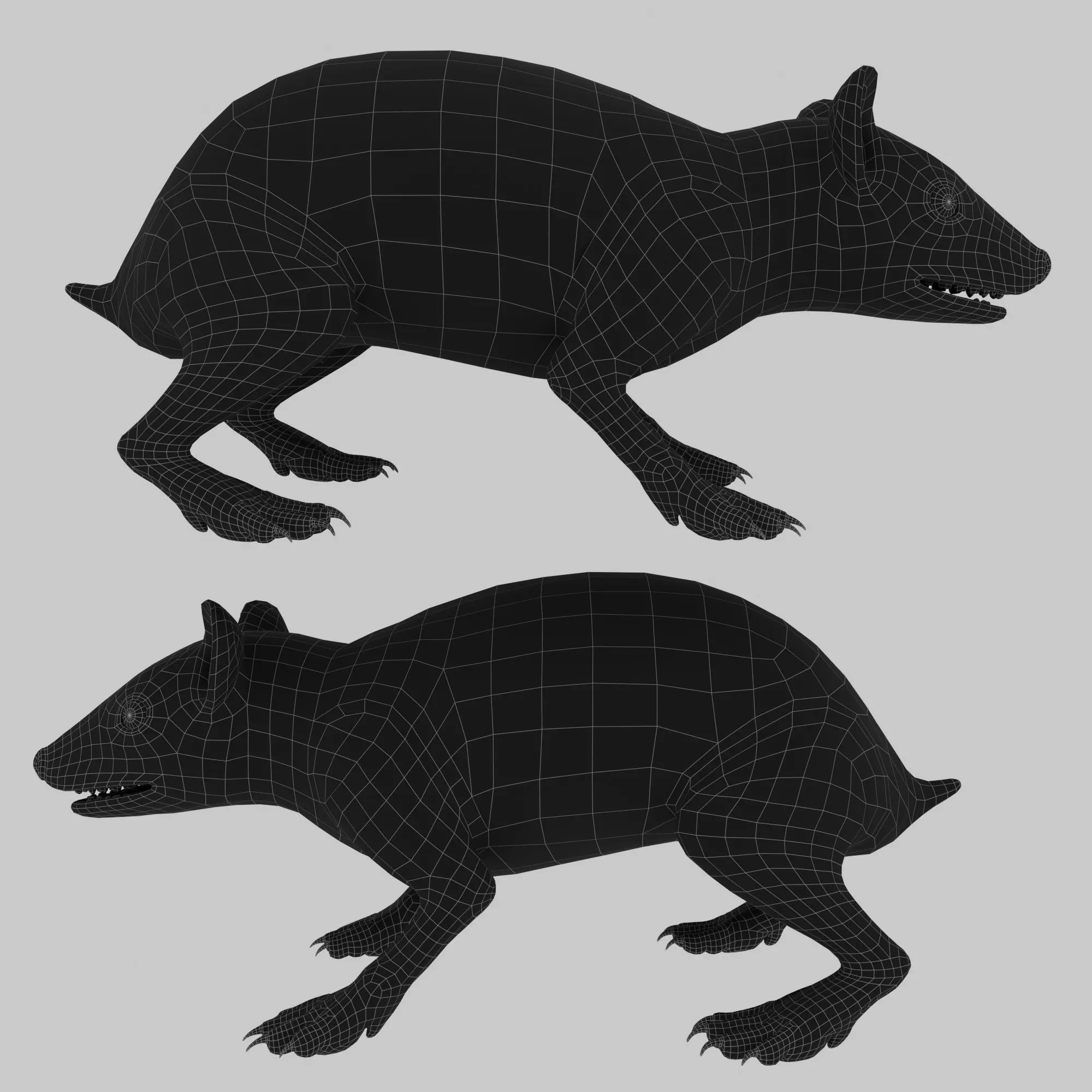 Realistic Animated Hedgehog 3D model_12