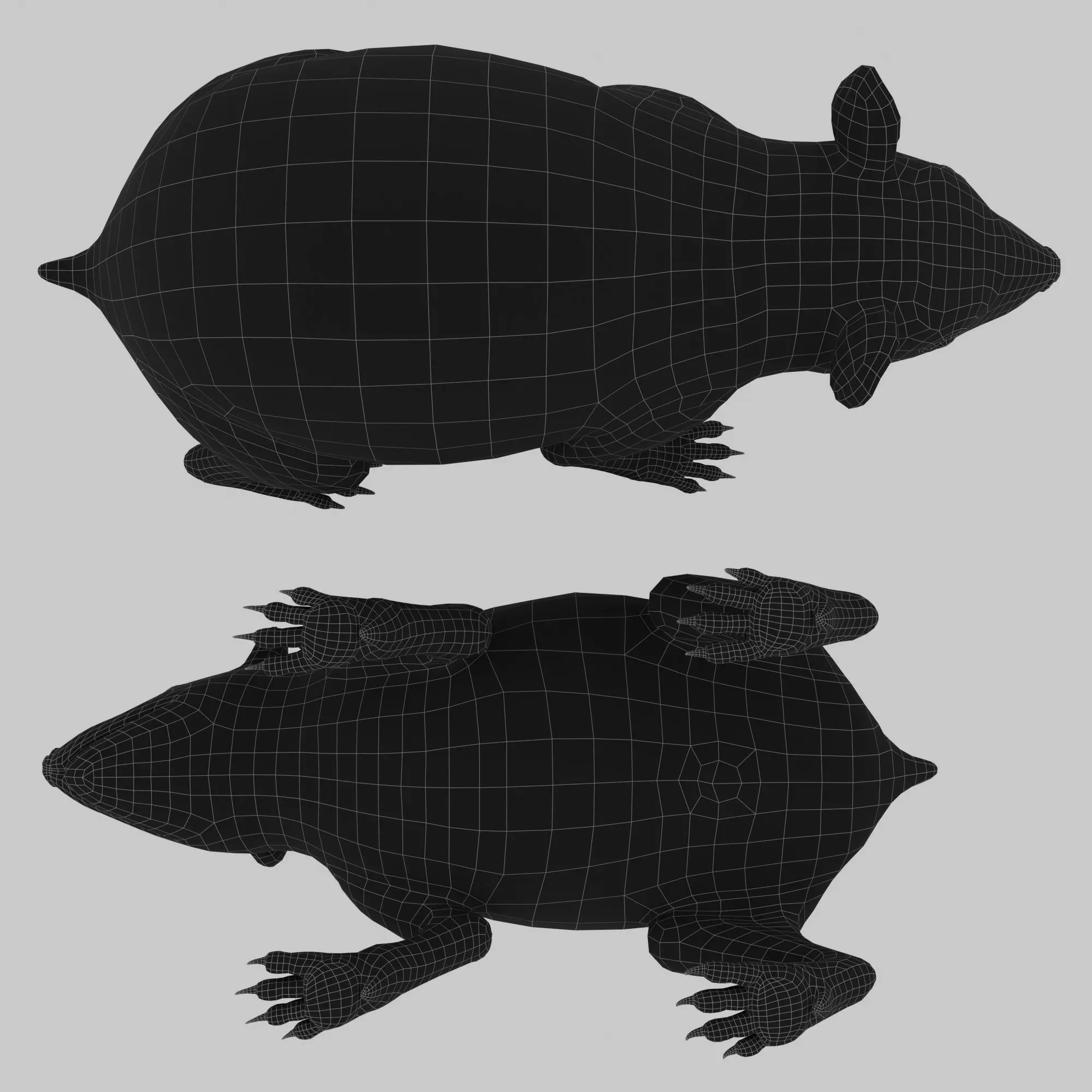 Realistic Animated Hedgehog 3D model_13