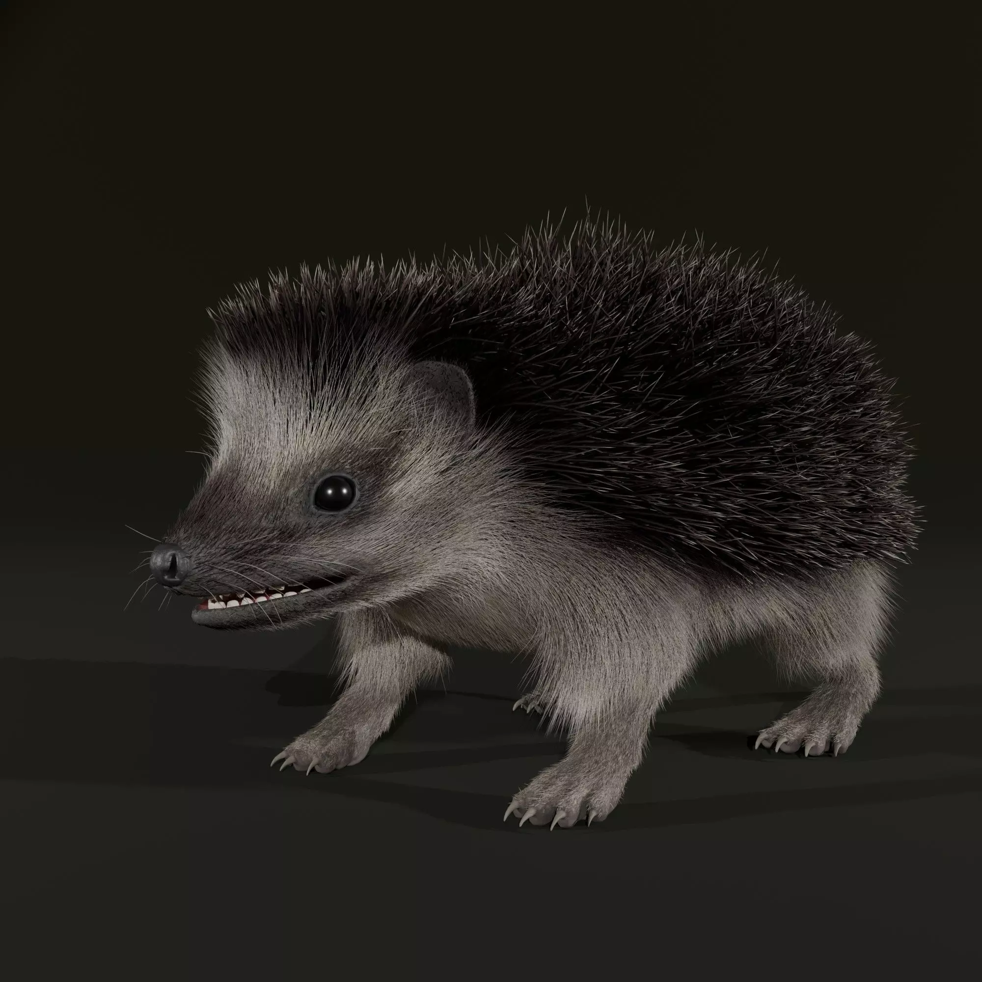 Realistic Animated Hedgehog 3D model_3