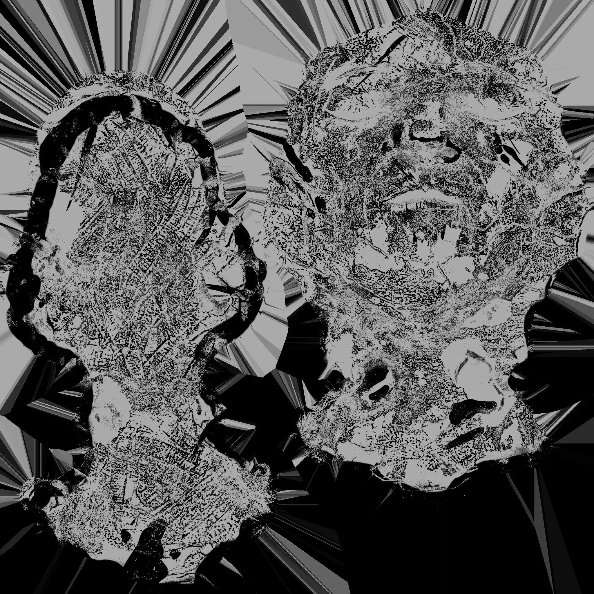 Face Sculpture 3D Model 3D model_9