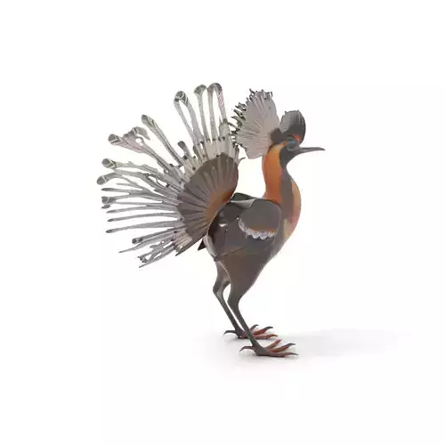 Elegant Crested Bird model pack