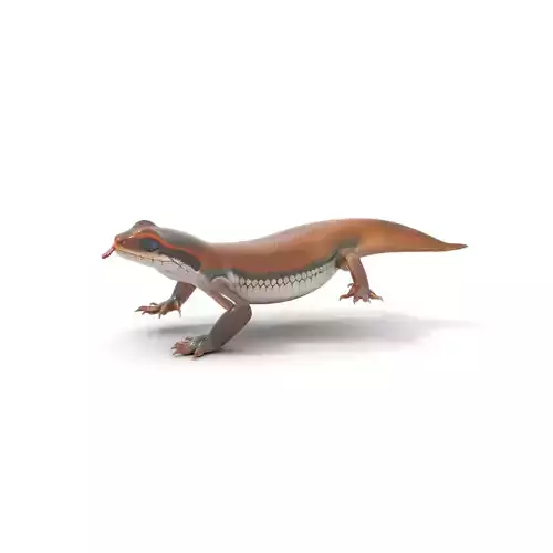 Vibrant Skink Reptile model pack