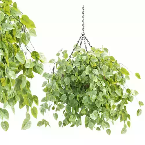 Hanging Plant 3D Model Vol 326