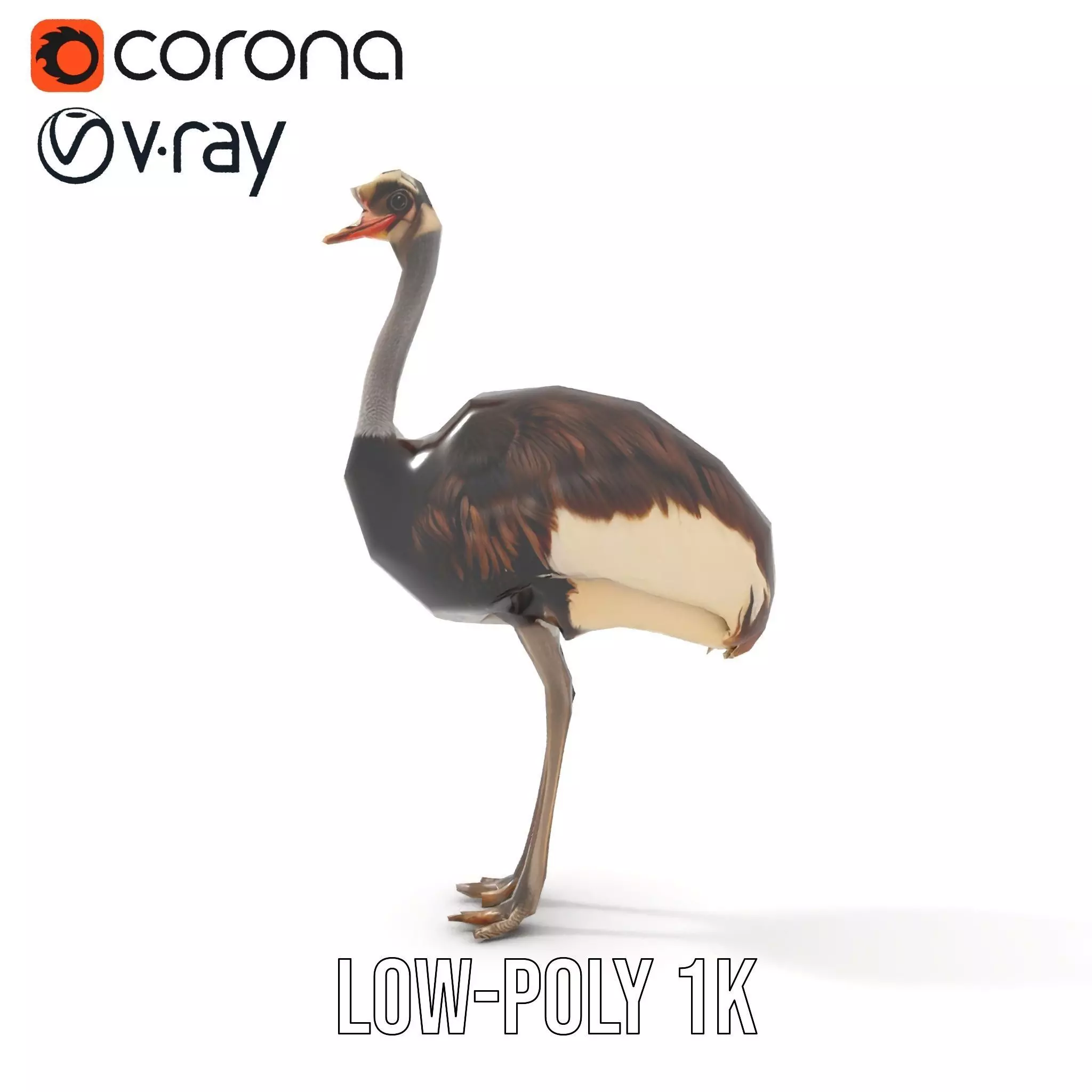 Elegant Ostrich Brown model pack Low-poly 3D model_30