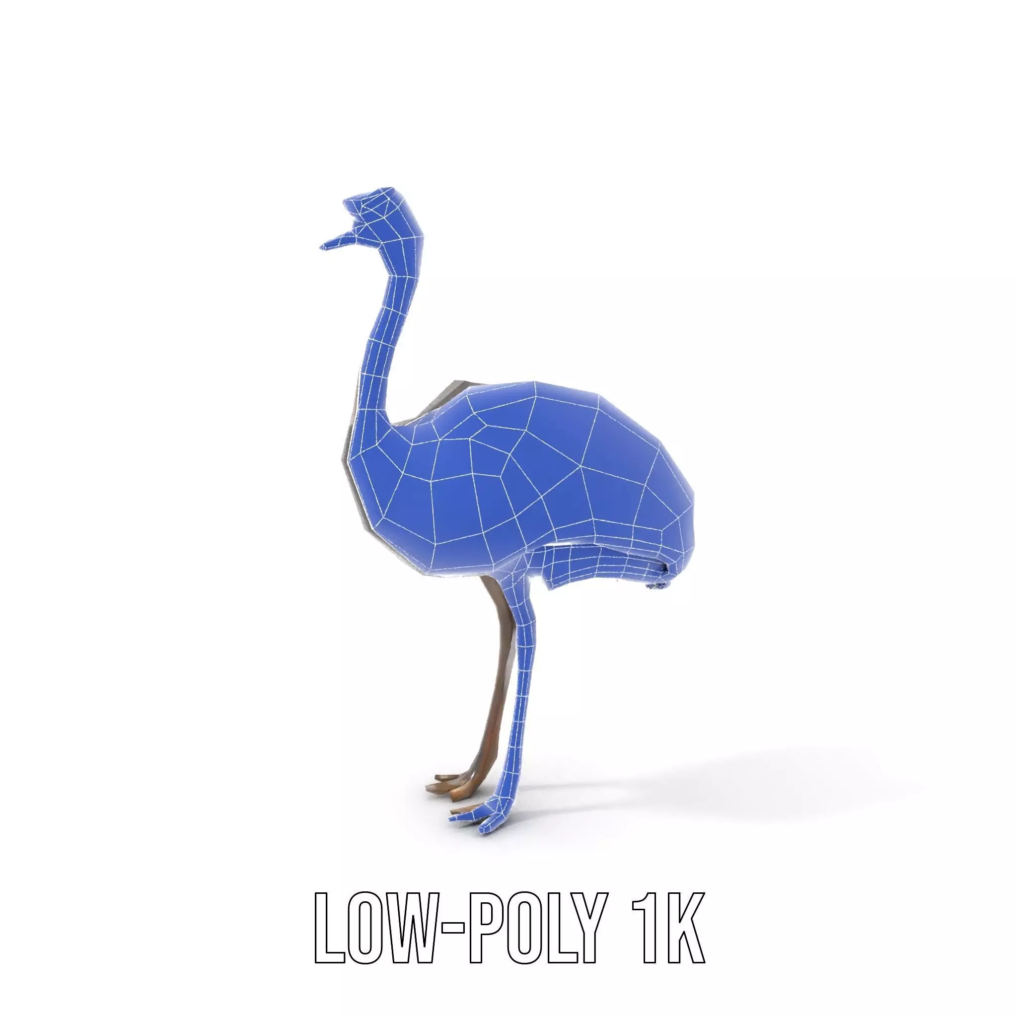 Elegant Ostrich Brown model pack Low-poly 3D model_21