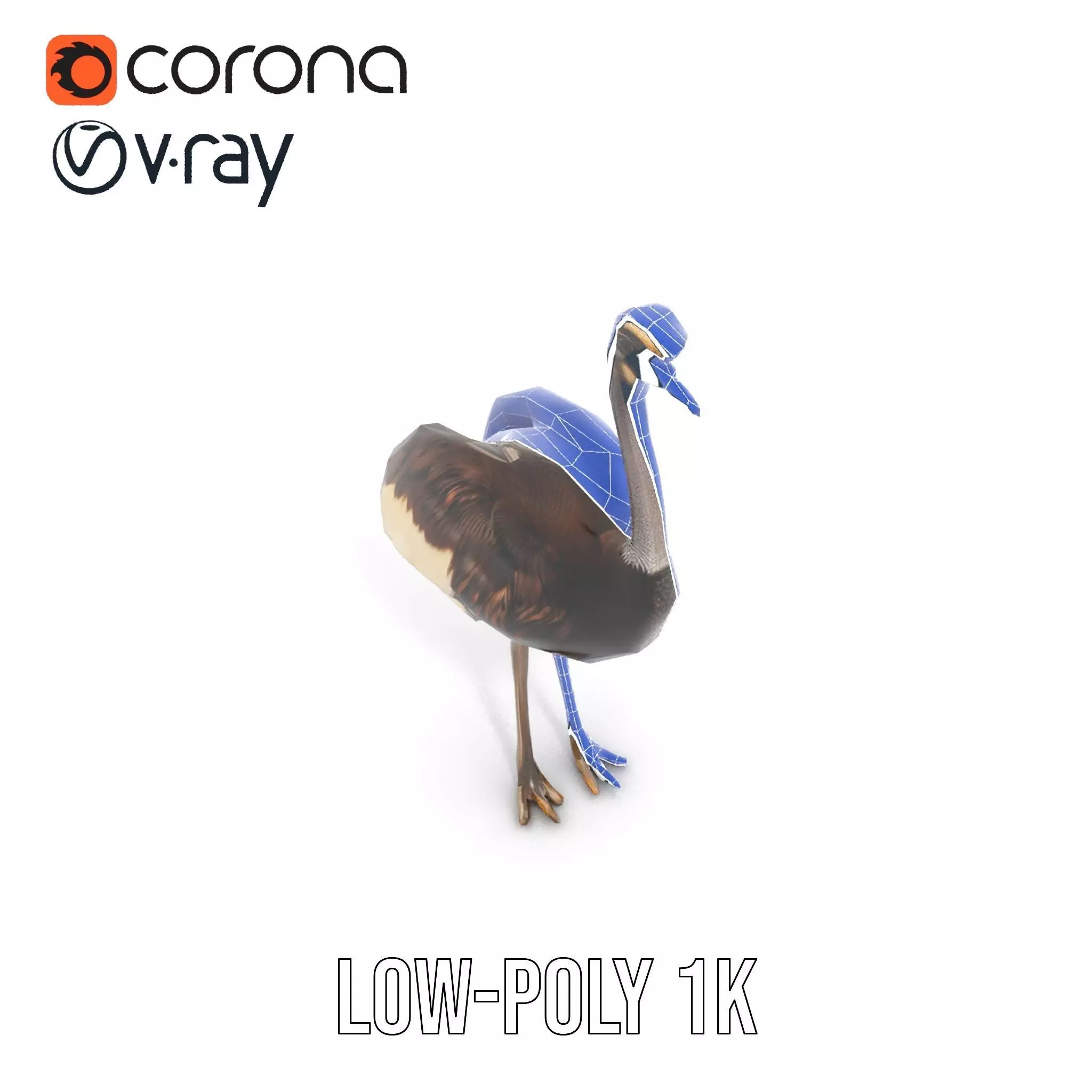 Elegant Ostrich Brown model pack Low-poly 3D model_24