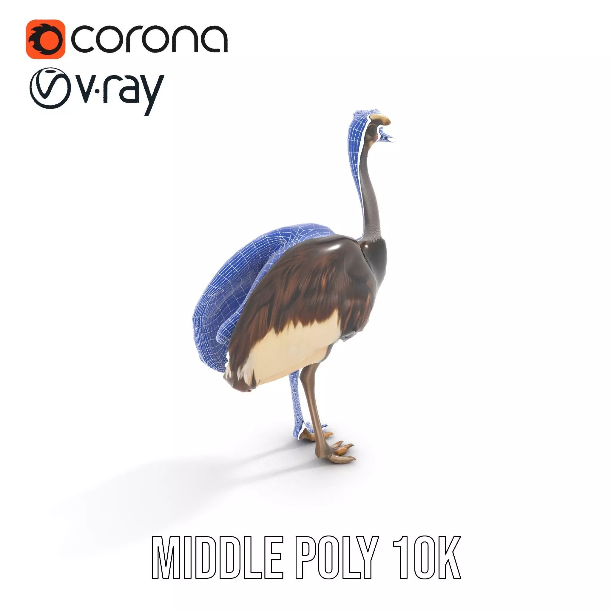 Elegant Ostrich Brown model pack Low-poly 3D model_13